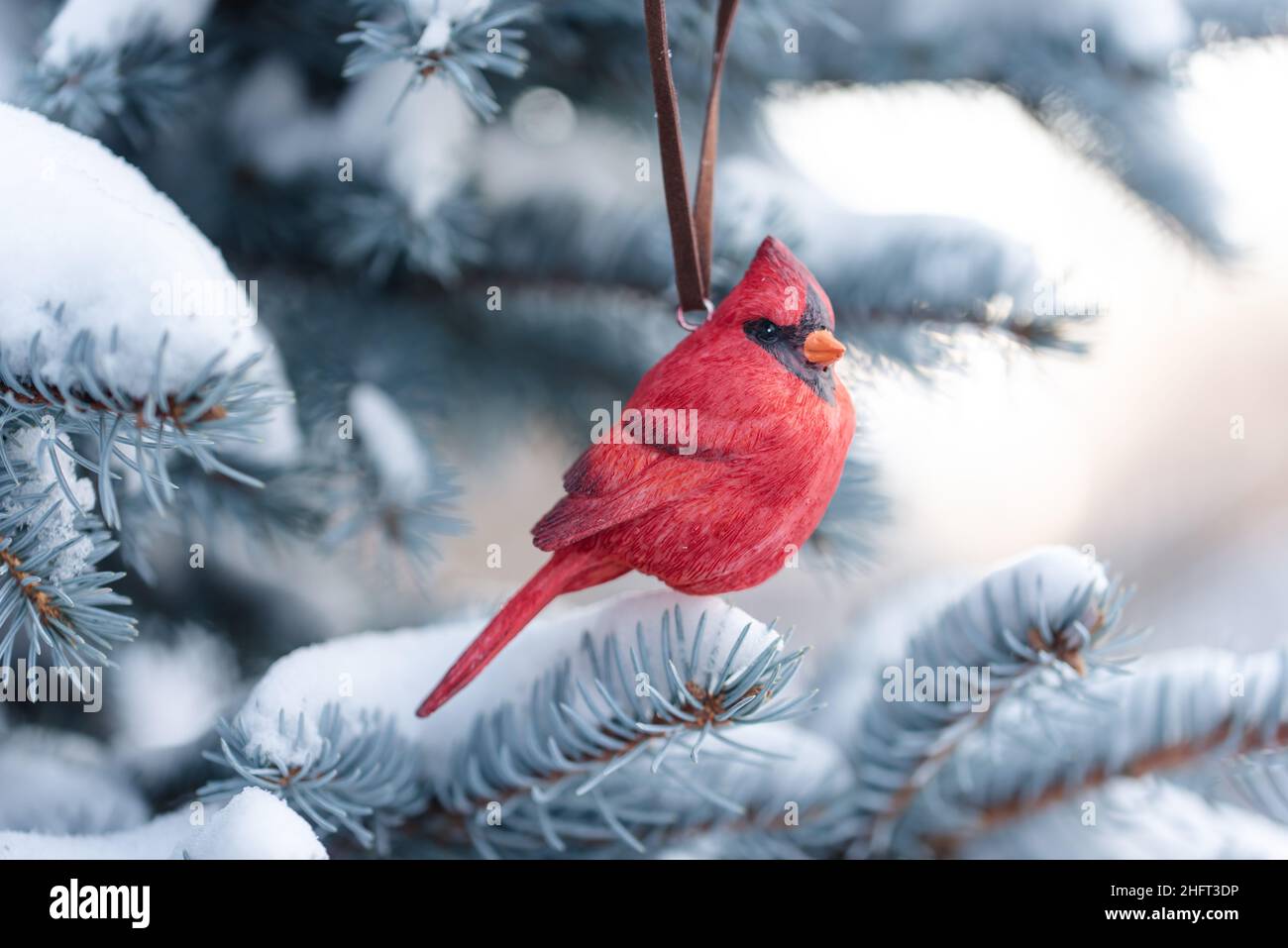 Ornamento rosso dell'uccello cardinale appeso al ramo sempreverde innevato dell'albero. Foto Stock
