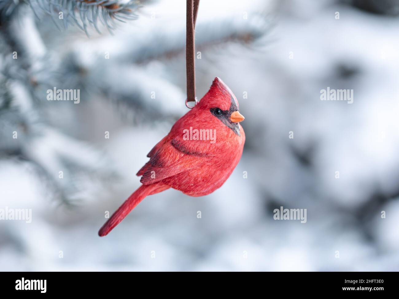 Ornamento rosso dell'uccello cardinale appeso al ramo sempreverde innevato dell'albero. Foto Stock