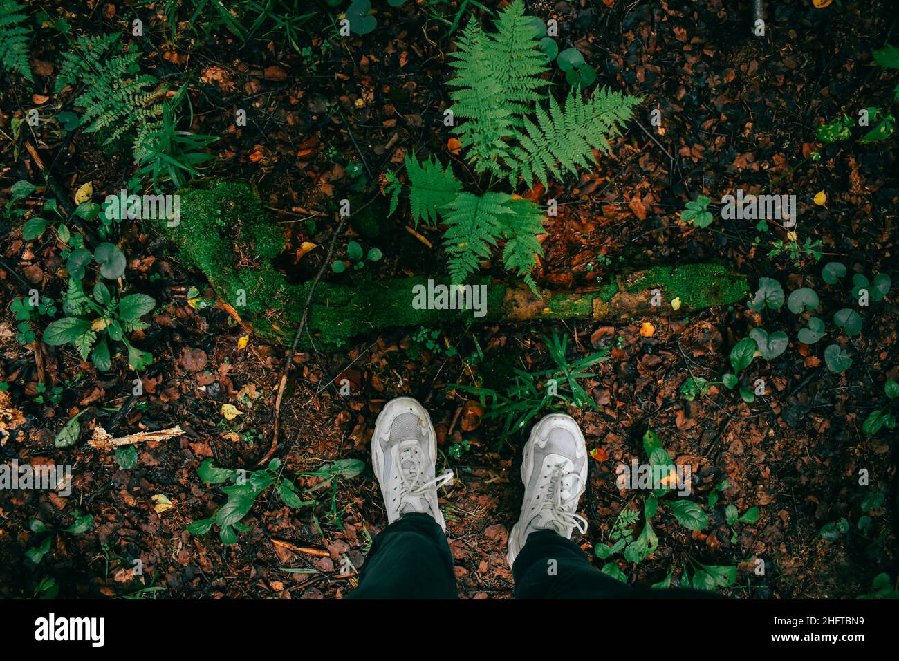 Siamo andati a fare una passeggiata nei boschi Foto Stock