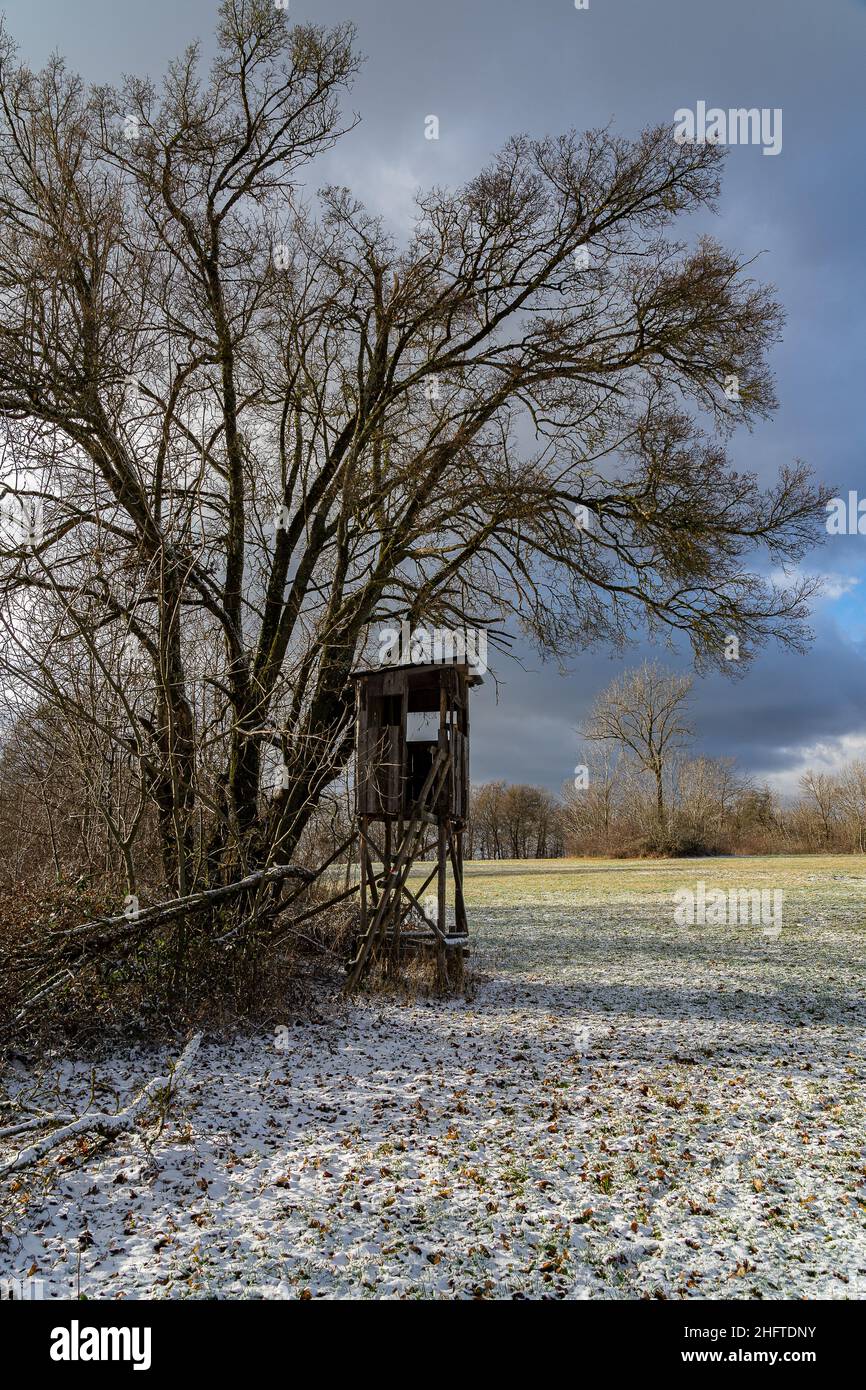 vista su un campo leggermente innevato in inverno con colori pastello Foto Stock