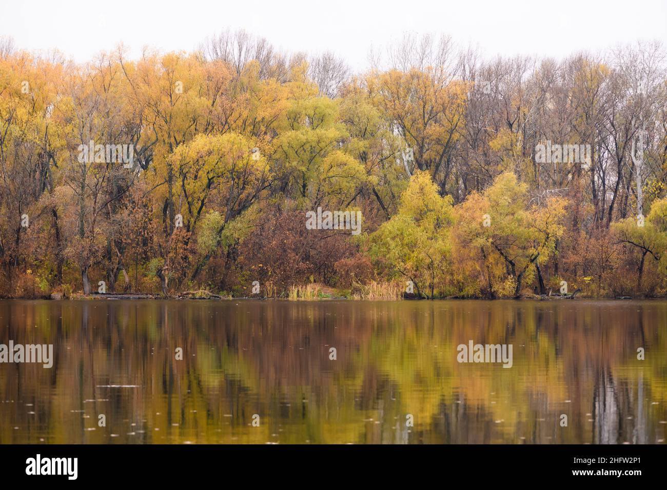 Bel laghetto autunnale con riflessi di alberi con fogliame giallo. La città è nascosta nella nebbia sullo sfondo. Foto di alta qualità. Foto Stock