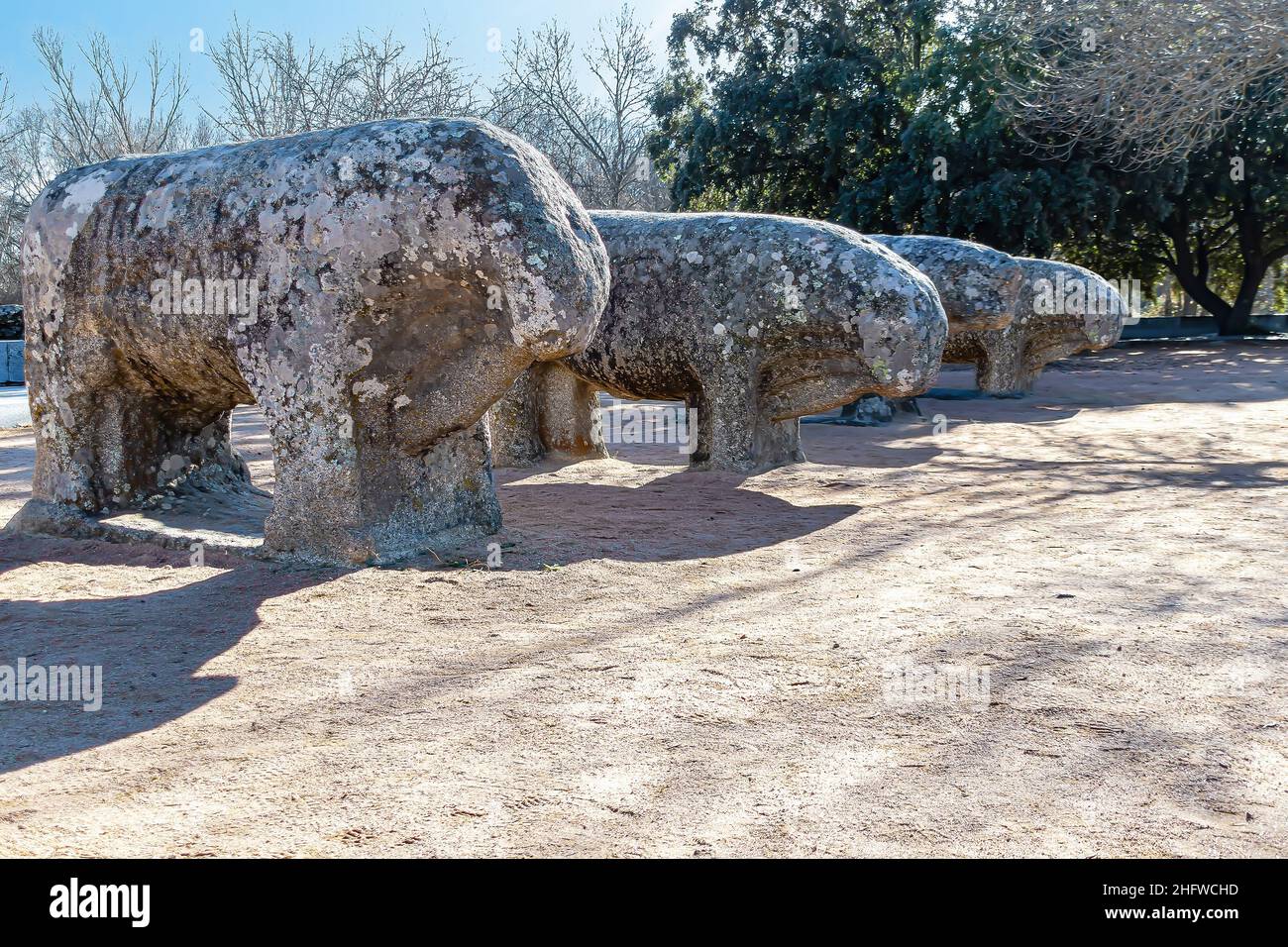 I tori Guisando sono un gruppo scultoreo Vetón che si trova sulla collina di Guisando, vicino alla Cañada Real Leonesa Oriental, nel comune di Foto Stock