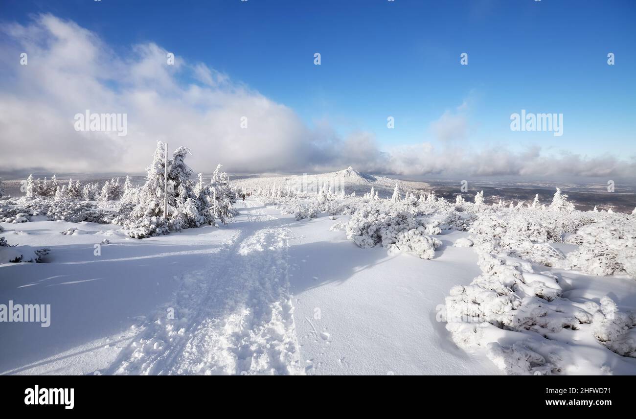 Bellissimo paesaggio invernale con alberi innevati, Parco Nazionale di Karkonosze, Polonia. Foto Stock