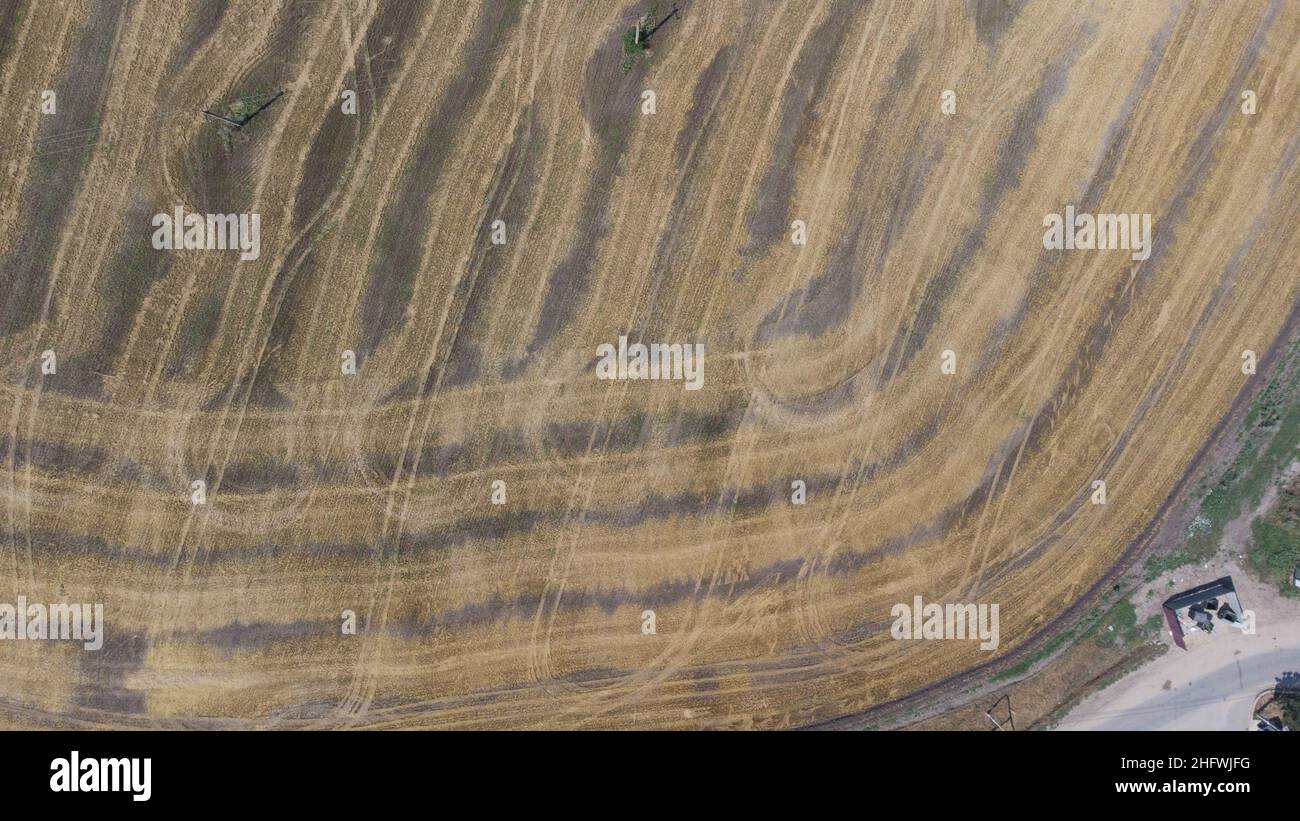 Campo di grano in estate sul mare dopo la raccolta. Vista aerea. Foto Stock