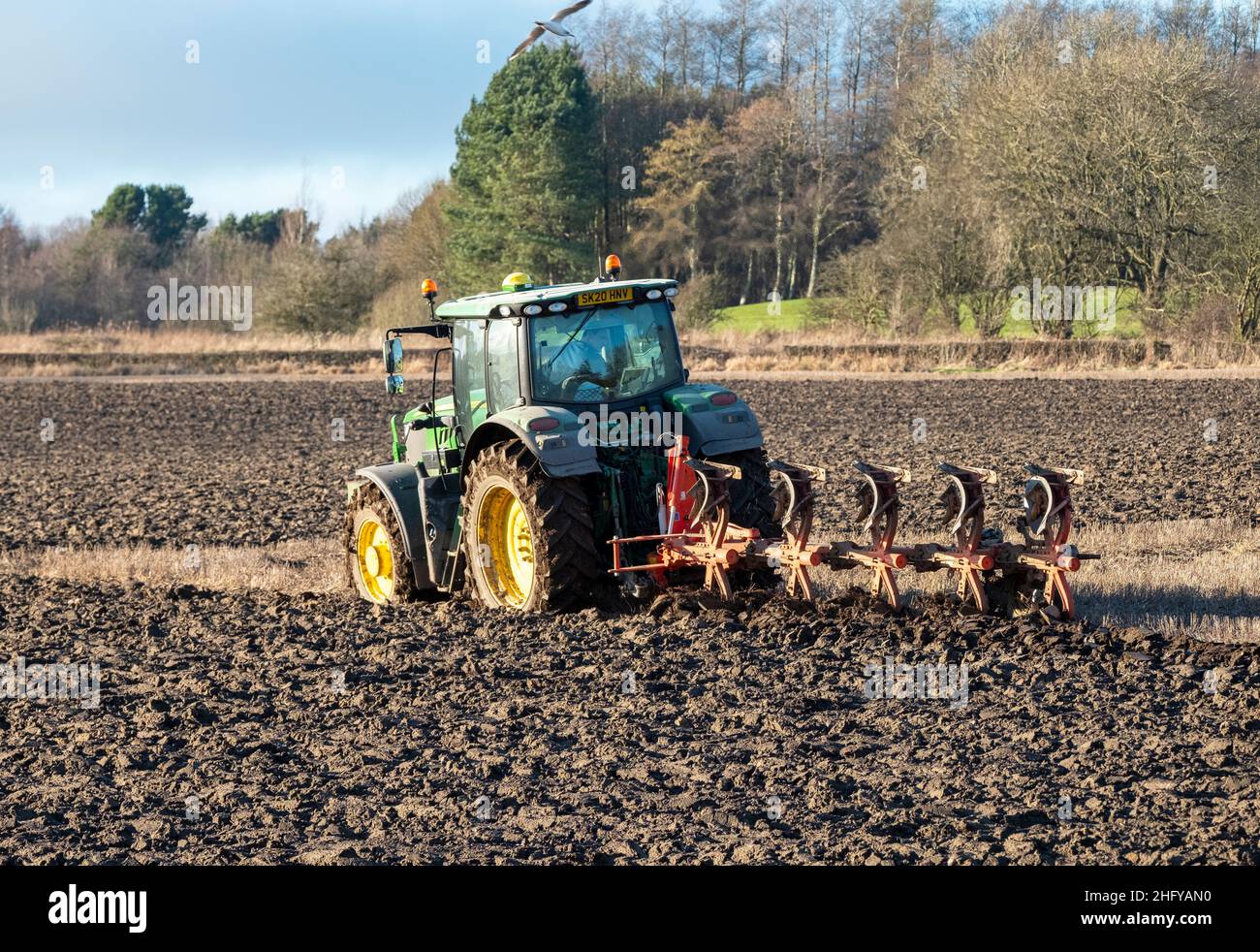 Trattore e aratro per la preparazione del terreno in aree lontane a West Lothian, Scozia. Foto Stock