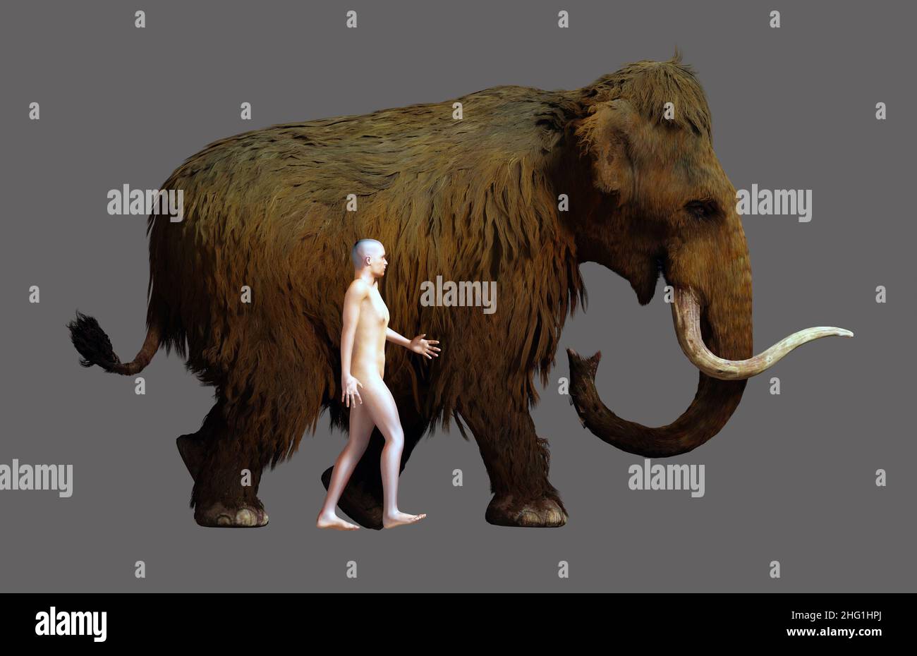 Un'illustrazione del 3D di un Woolly Mammoth e di un umano di dimensioni medie in un confronto affiancato. Foto Stock