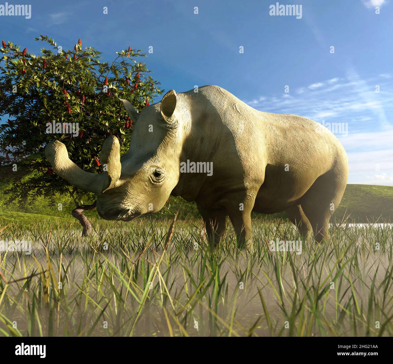 Brontotherium è un gruppo estinto di browsers rhinoceros-like relativi ai cavalli. Era endemica in Nord America durante la tarda epoca dell'Eocene Foto Stock