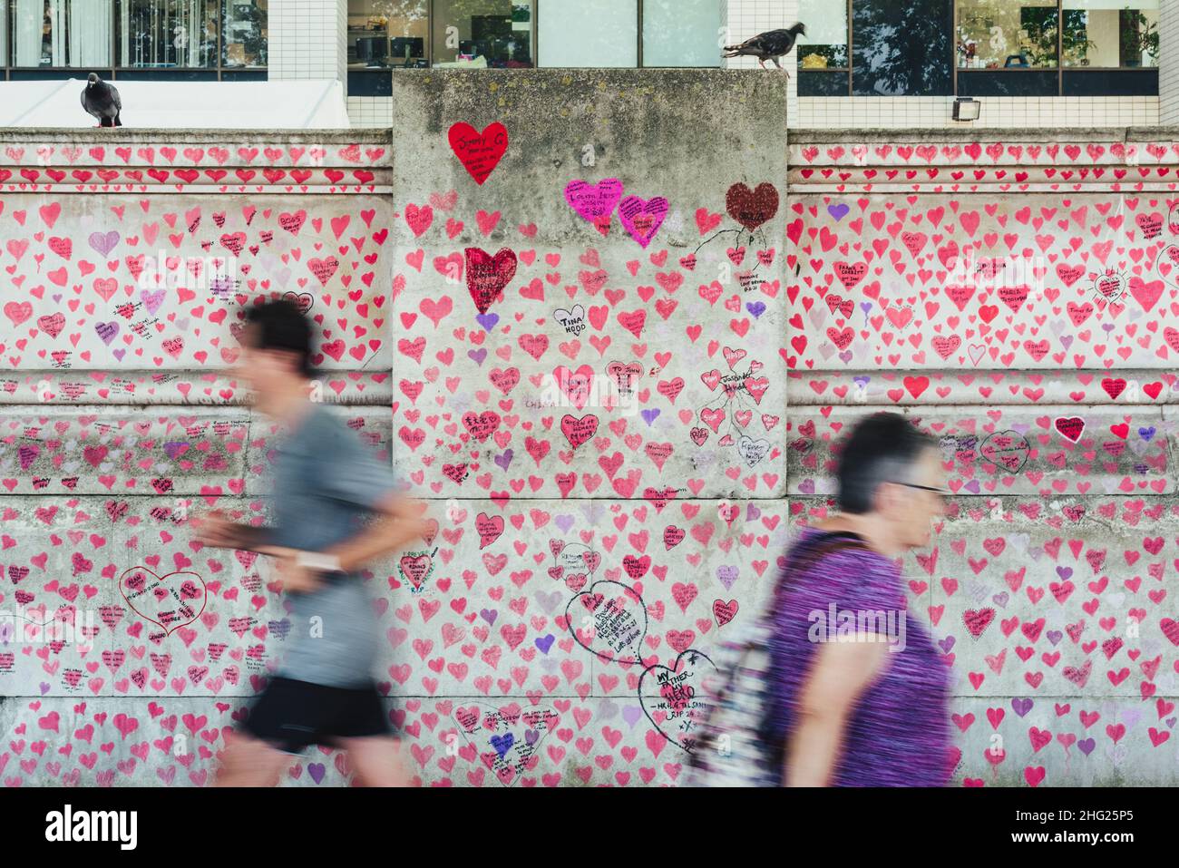 Una sezione del National Covid Memorial Wall ricoperta di cuori rosa dipinti e omaggi alle vittime della pandemia sulla sponda meridionale di Londra Foto Stock