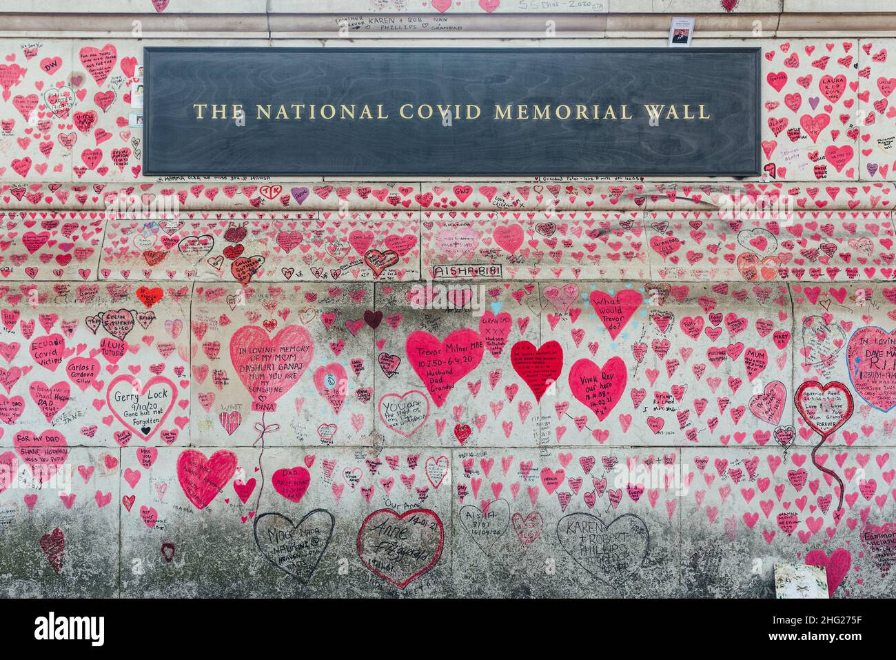 Il National Covid Memorial Wall ha coperto cuori rosa e i nomi delle vittime sulla riva sud del Tamigi accanto al St Thomas Hospital di Londra Foto Stock