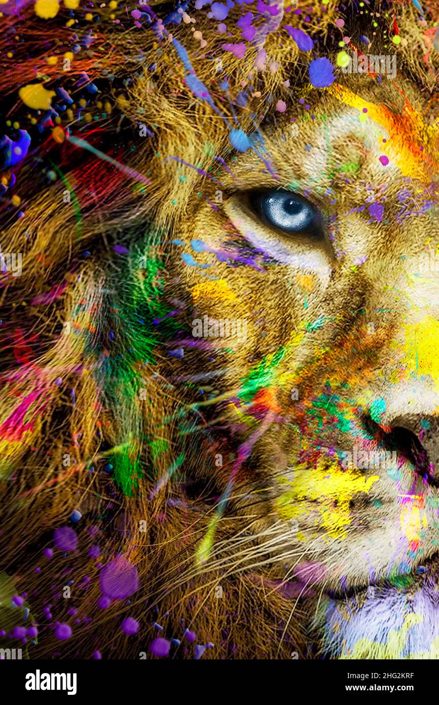 Full Colors Lion , fauna selvatica inchiostro animale , arte astratta moderna Foto Stock