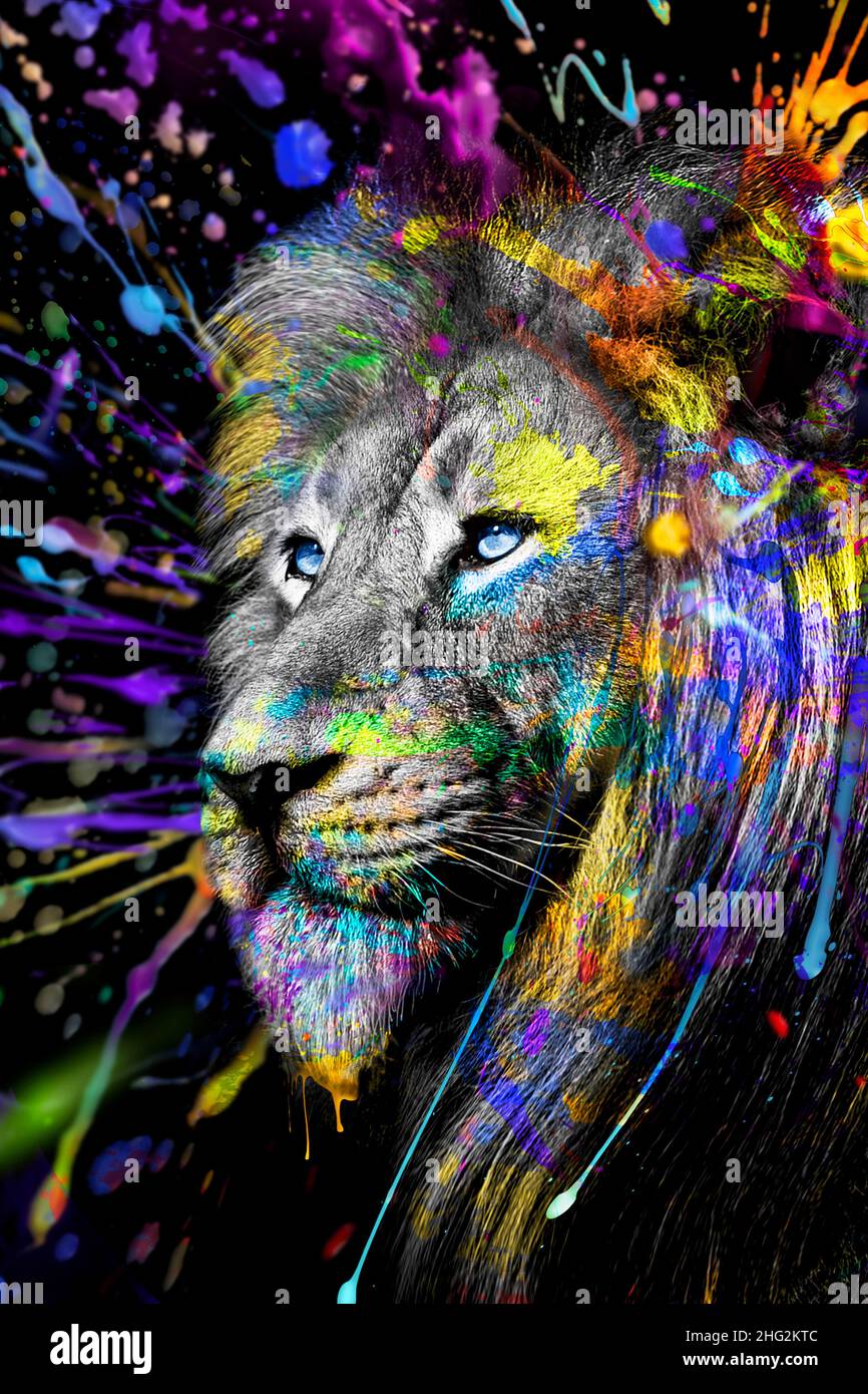 Full Colors Lion , fauna selvatica inchiostro animale , arte astratta moderna Foto Stock