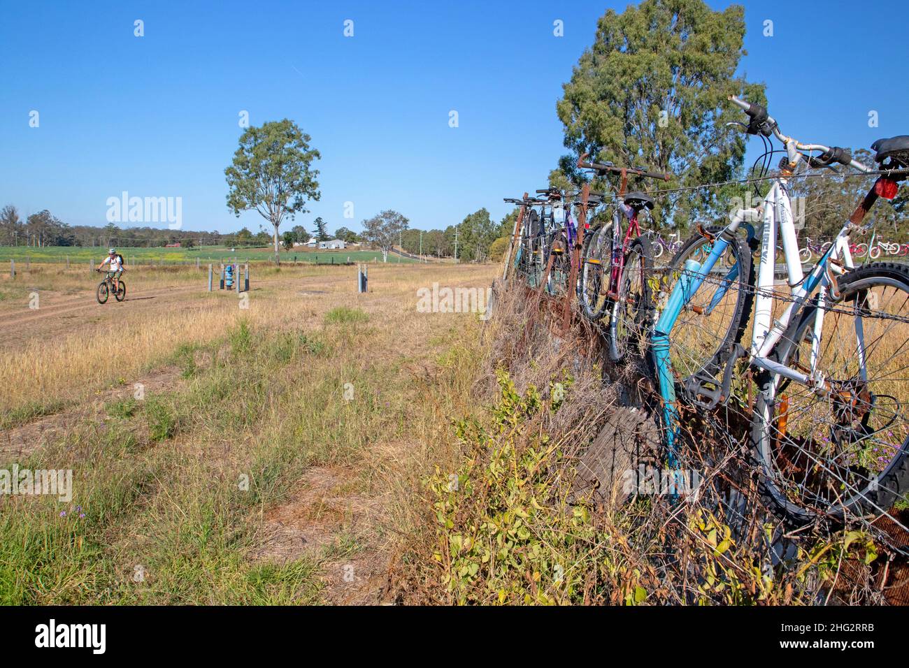 Pedalando vicino a Lowood sul Brisbane Valley Rail Trail Foto Stock