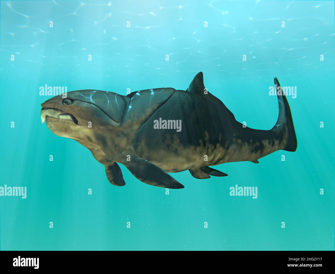 Un'illustrazione del gigante (30 piedi) pesce preistorico Dunkleosteus nuoto. Dunkleosteus era un pesce placodermico che esisteva durante il tardo Devoniano. Foto Stock