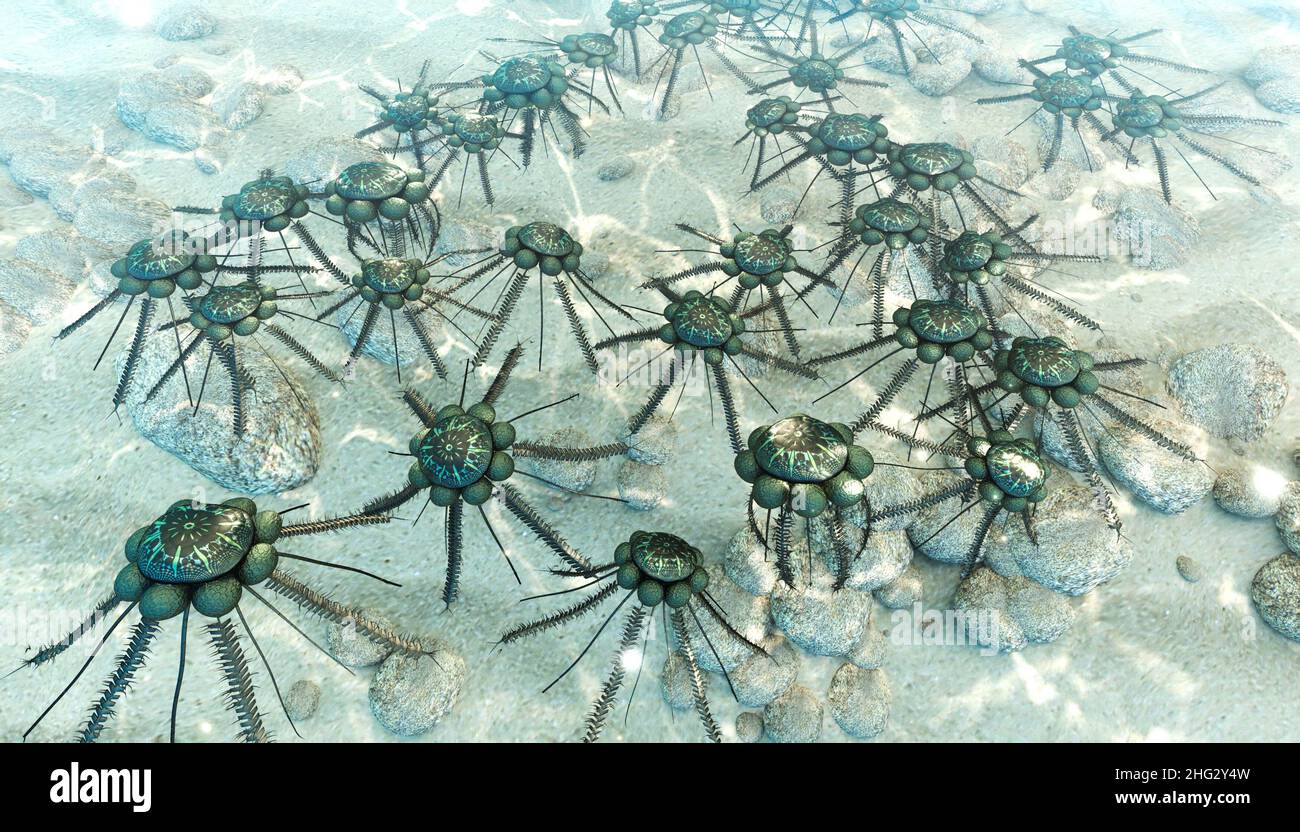 Un'illustrazione computerizzata 3-D delle colonie dei piccoli animali marini estinti conosciuti come Graptolites del periodo ordoviciano 485 milioni di anni fa. Foto Stock