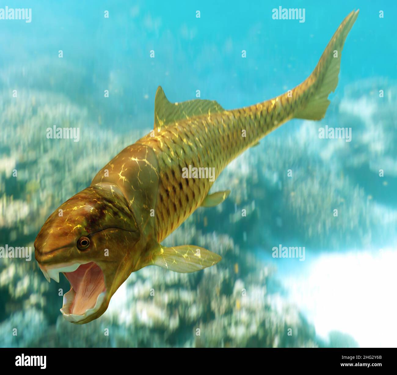 Dunkleosteus è un genere di pesci preistorici giganti che esistono circa 380 - 360 milioni di anni fa. Foto Stock