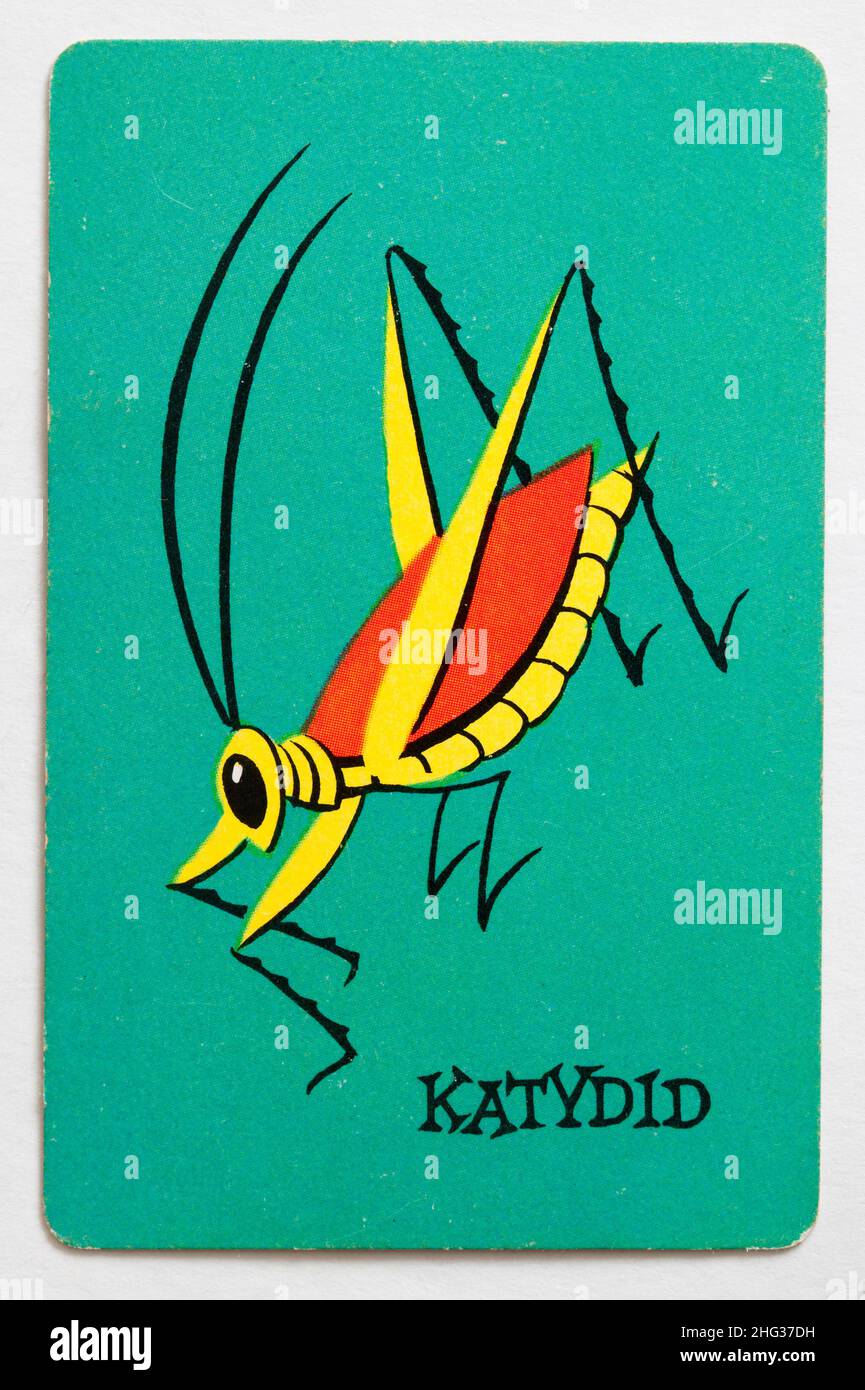 Carta da gioco Skeeter Foto Stock