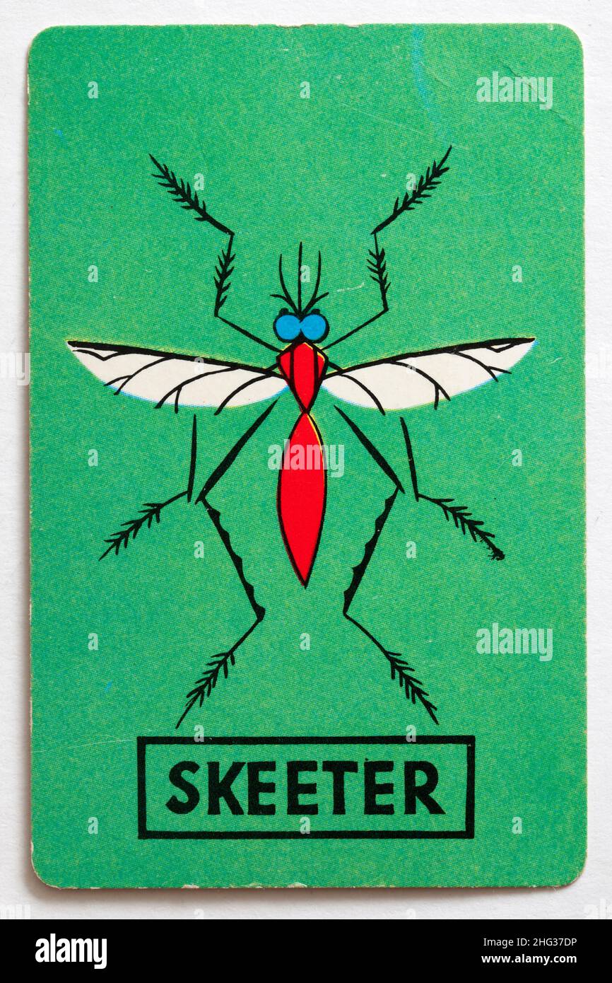 Carta da gioco Skeeter Foto Stock