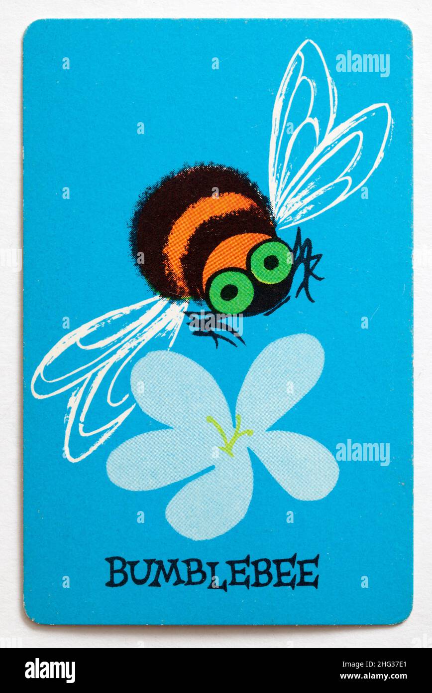 Carta da gioco Skeeter Foto Stock