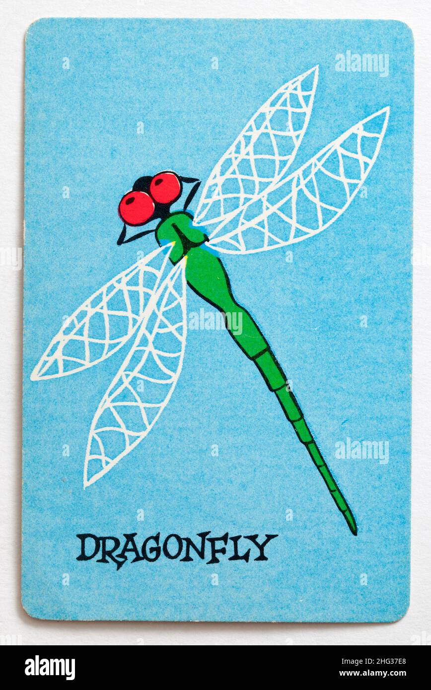 Carta da gioco Skeeter Foto Stock