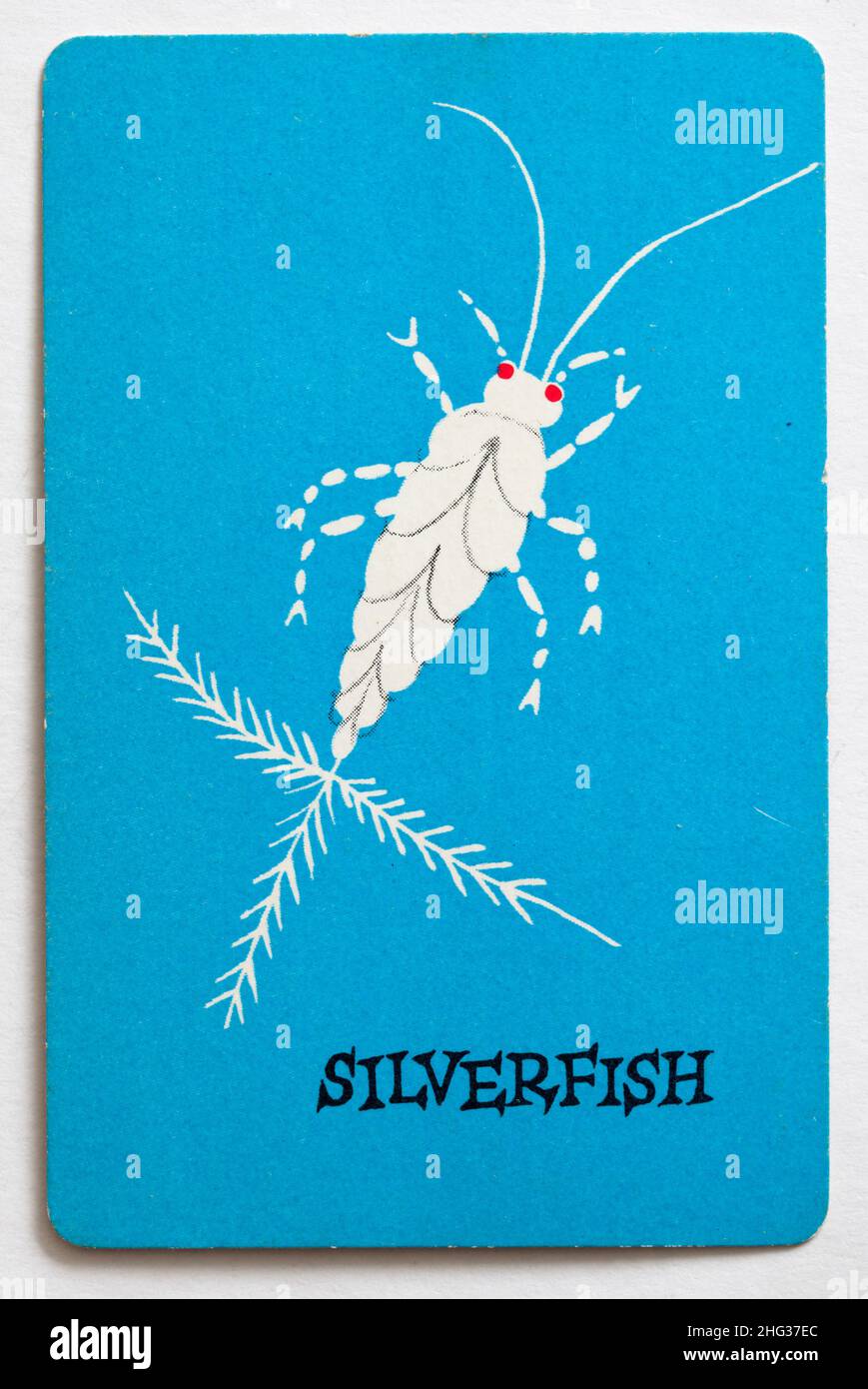 Carta da gioco Skeeter Foto Stock