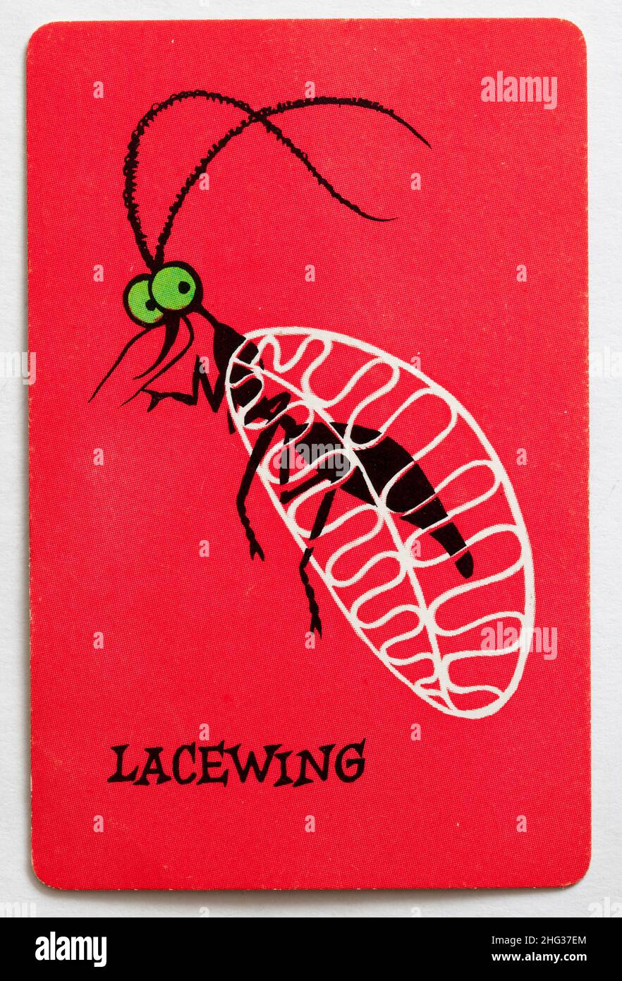 Carta da gioco Skeeter Foto Stock