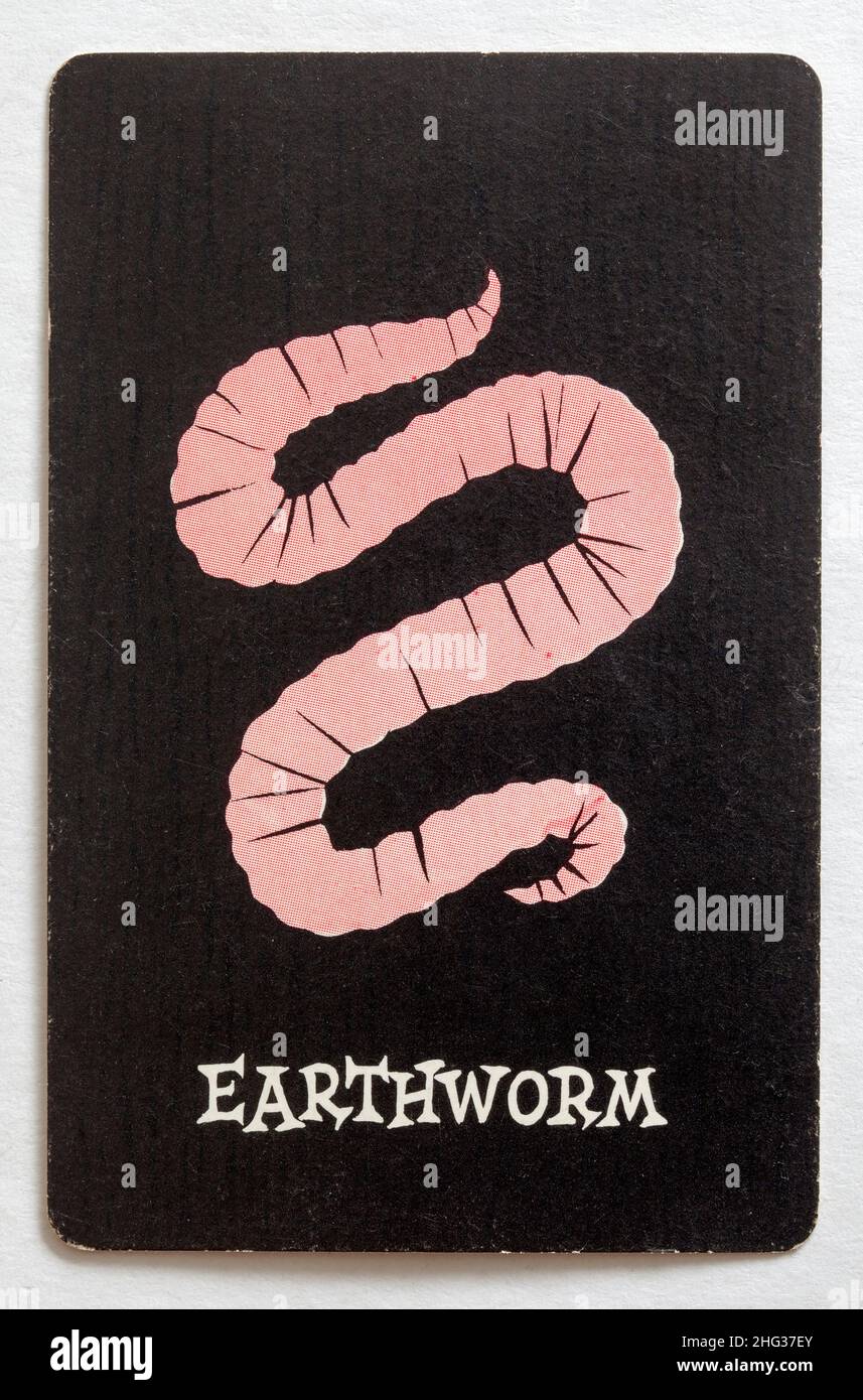 Carta da gioco Skeeter Foto Stock