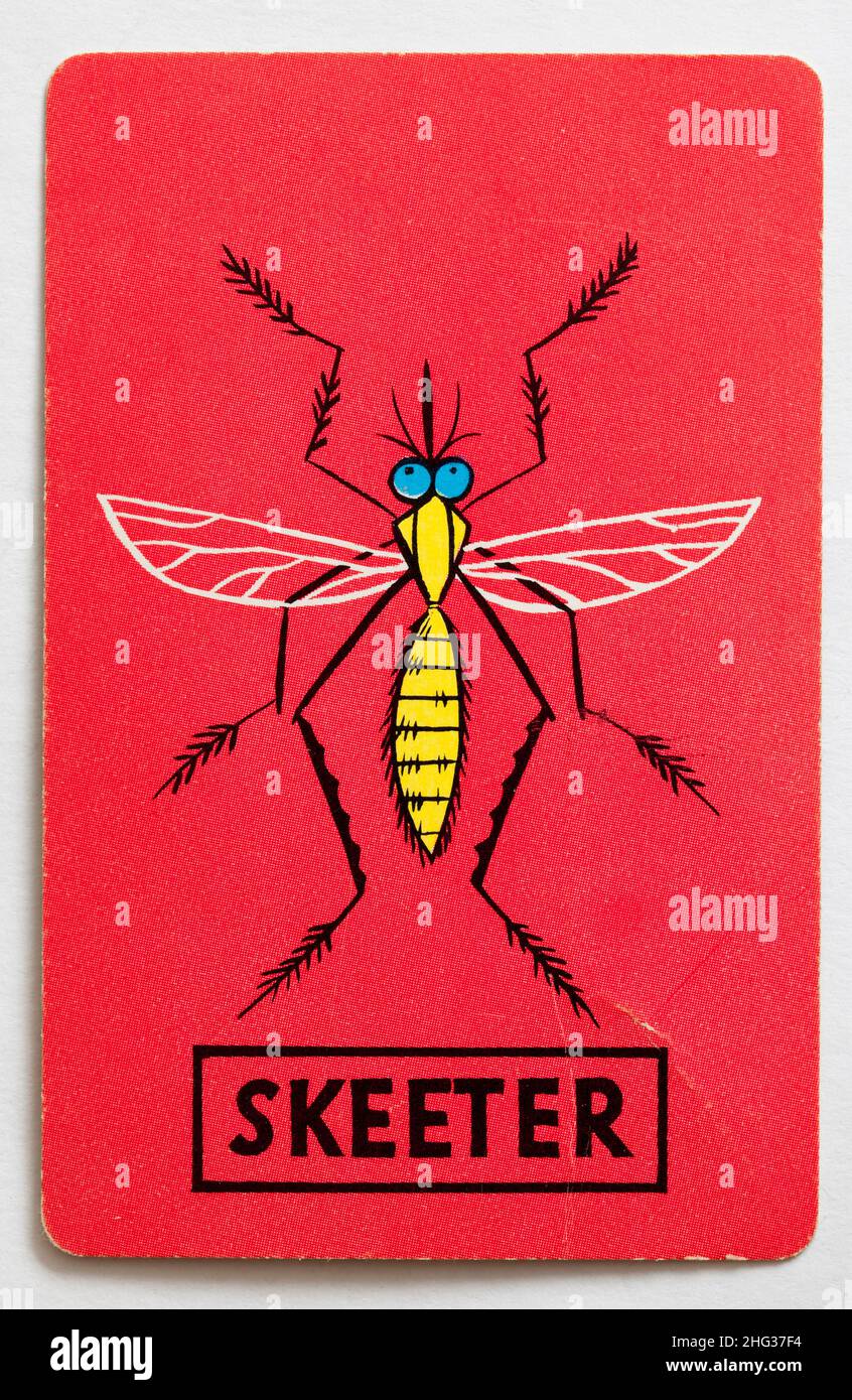 Carta da gioco Skeeter Foto Stock
