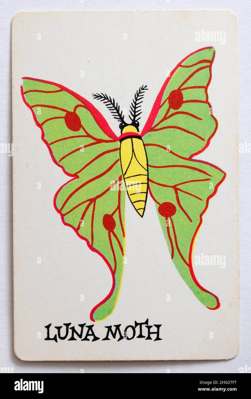 Carta da gioco Skeeter - Luna Moth Foto Stock