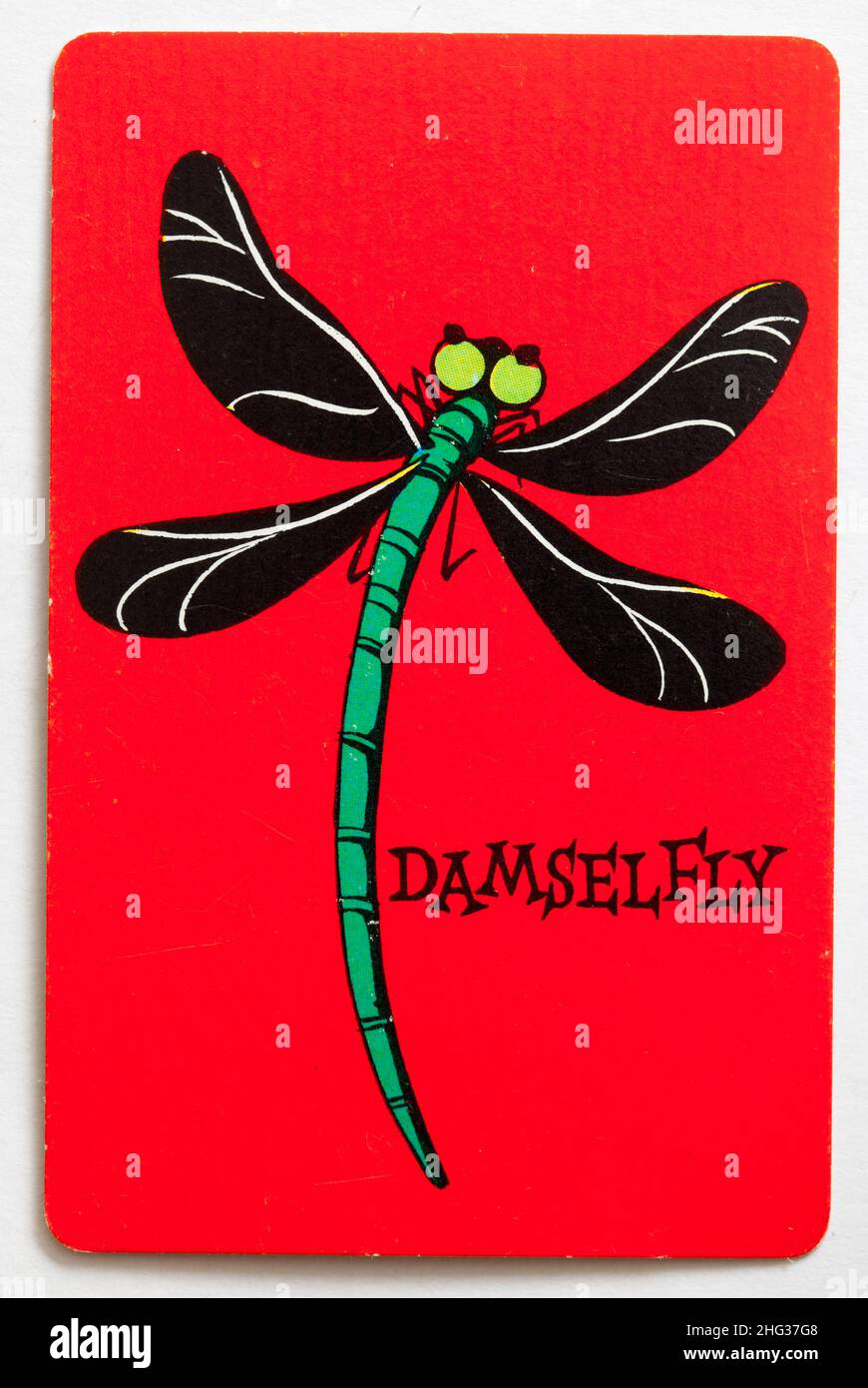 Carta da gioco Skeeter - Damselfly Foto Stock