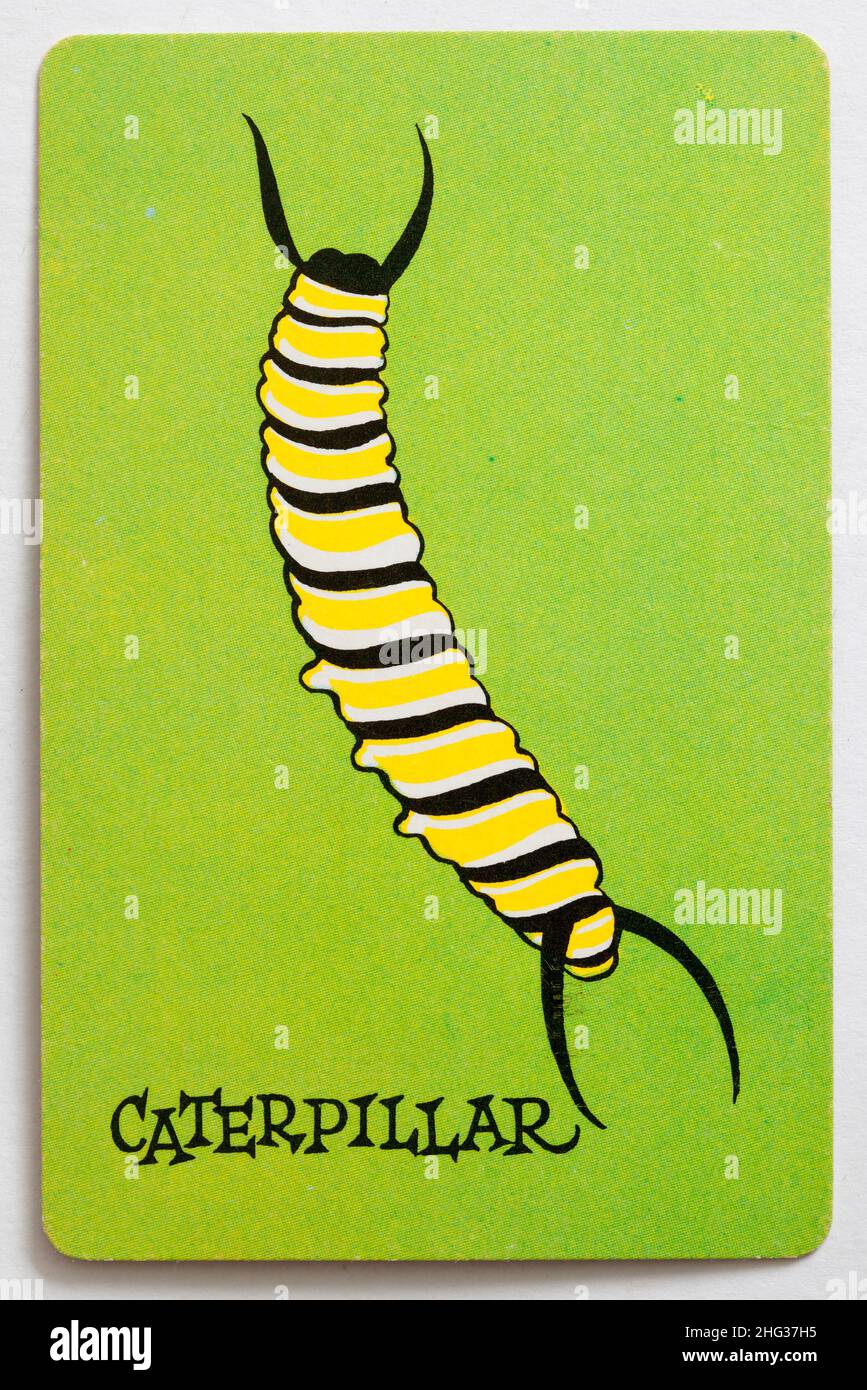 Carta da gioco Skeeter - Caterpillar Foto Stock
