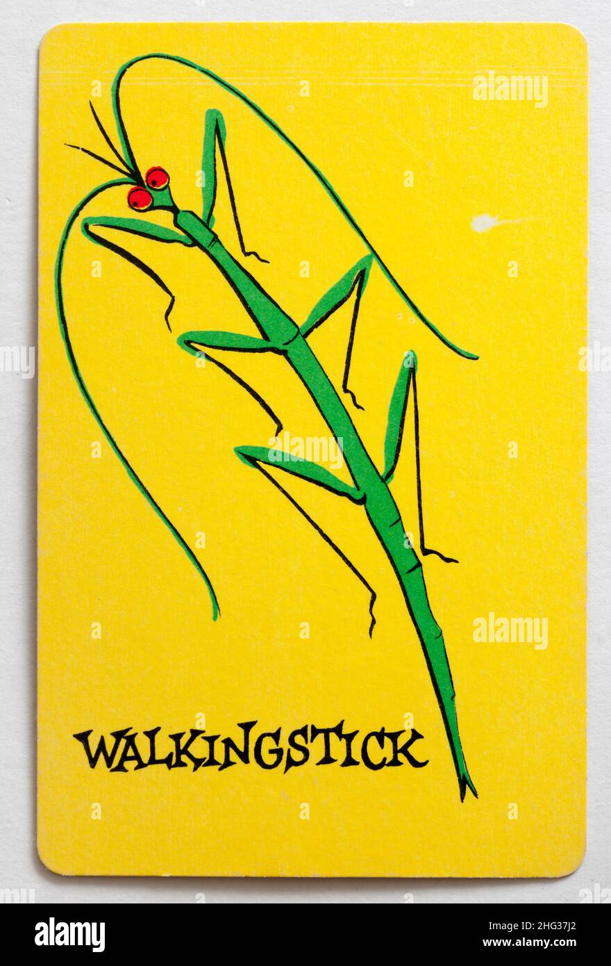 Carta da gioco Skeeter - bastone da passeggio Foto Stock