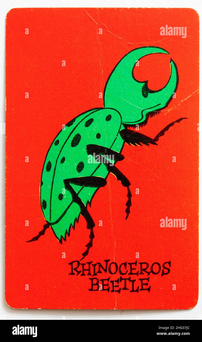 Carta da gioco Skeeter - scarabeo di rinoceronte Foto Stock