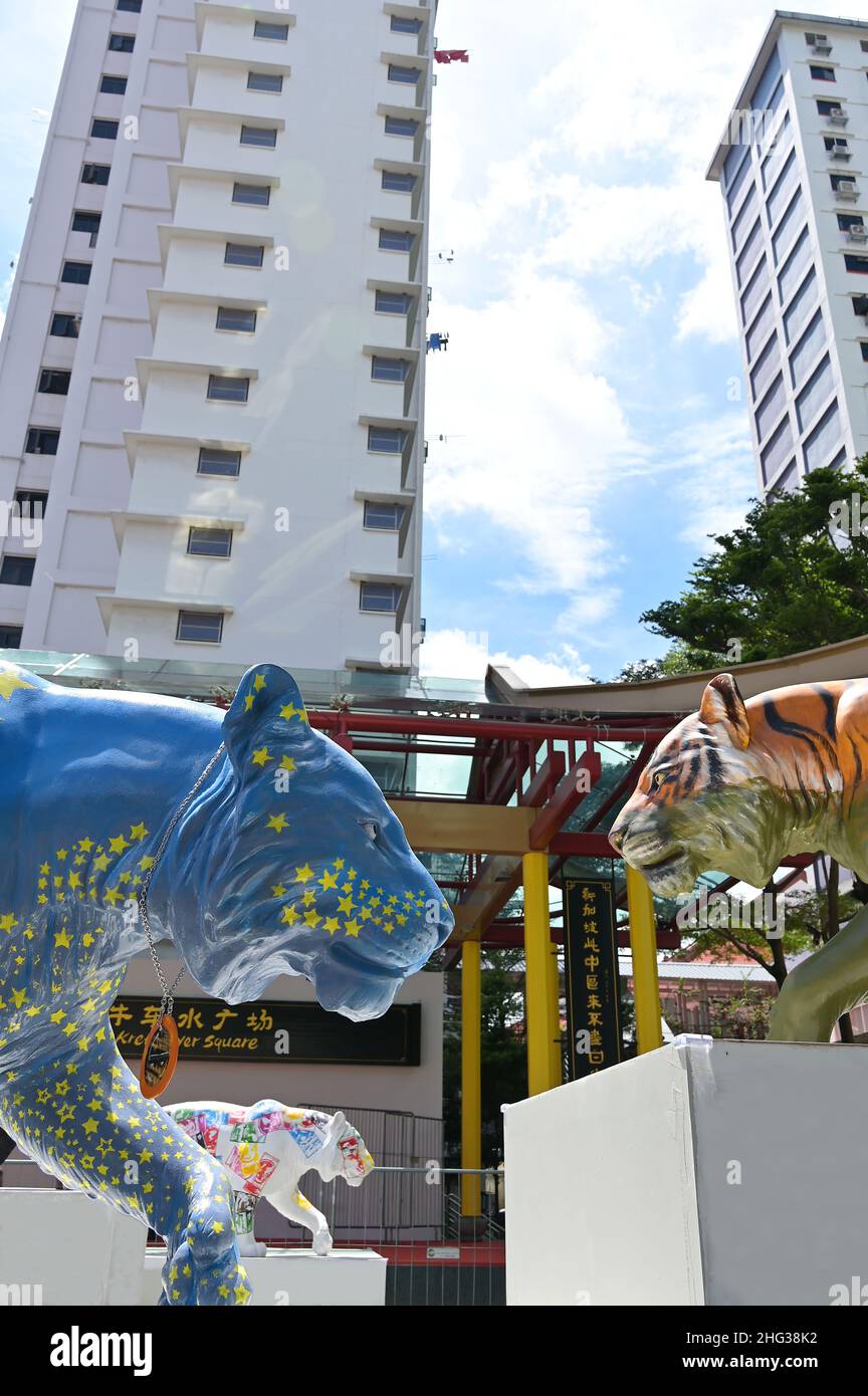 Tigri colorate in mostra in Telok Ayer Square di Singapore, mentre inaugurano l'anno della Tigre nel 2022 Foto Stock