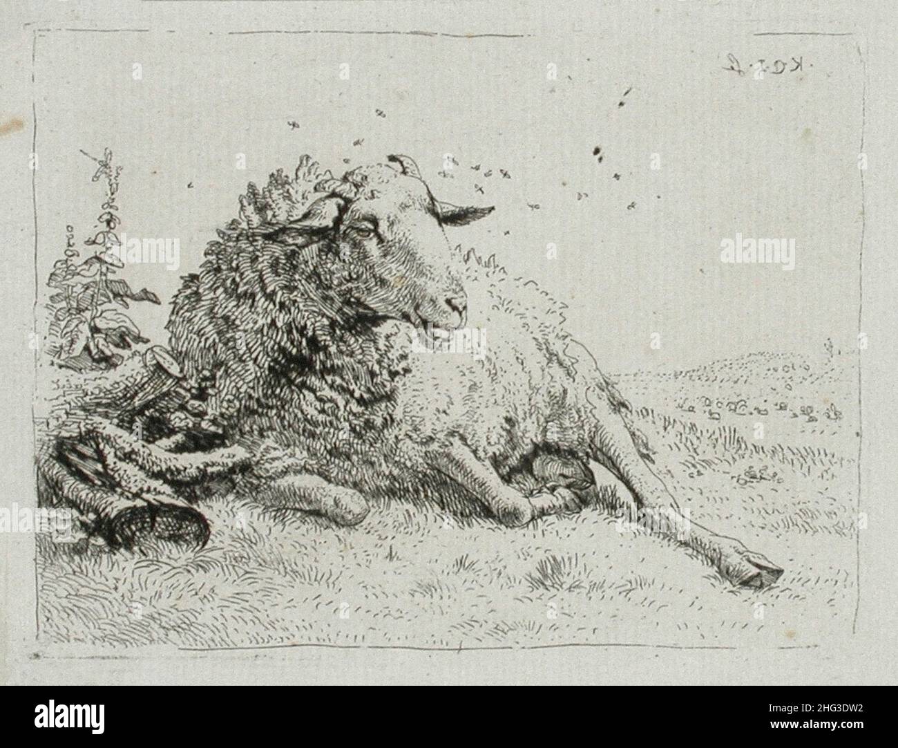 L'incisione di Agnello del 17th secolo accanto alla radice dell'albero. Di Karel Dujardin (1626-1678). Foto Stock