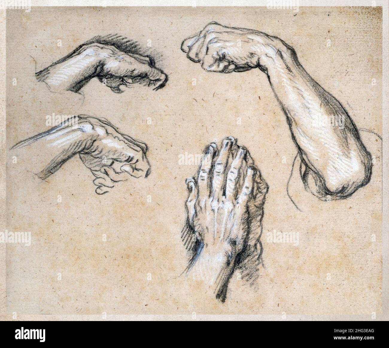 Il 18th centurey crayon stampa modo di quattro studi di mani. Carlo e Giuseppe Parrocel. 'Studi di mani di uomini in quattro pose'. Parigi, fra Foto Stock