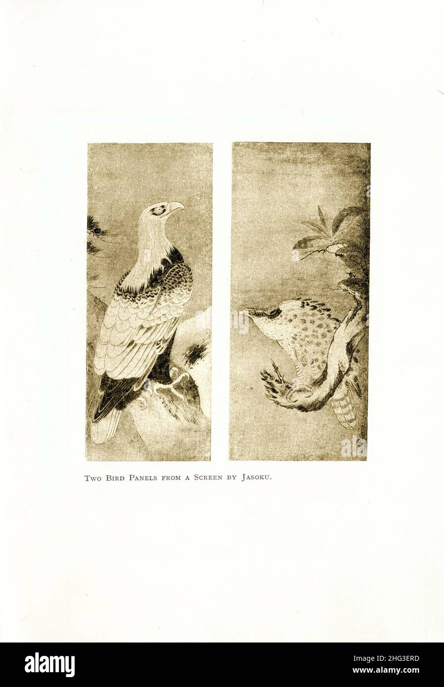 Pittura medievale giapponese: Due pannelli Bird da uno schermo di Jasoku. Riproduzione di un'illustrazione del libro di 1912 Foto Stock