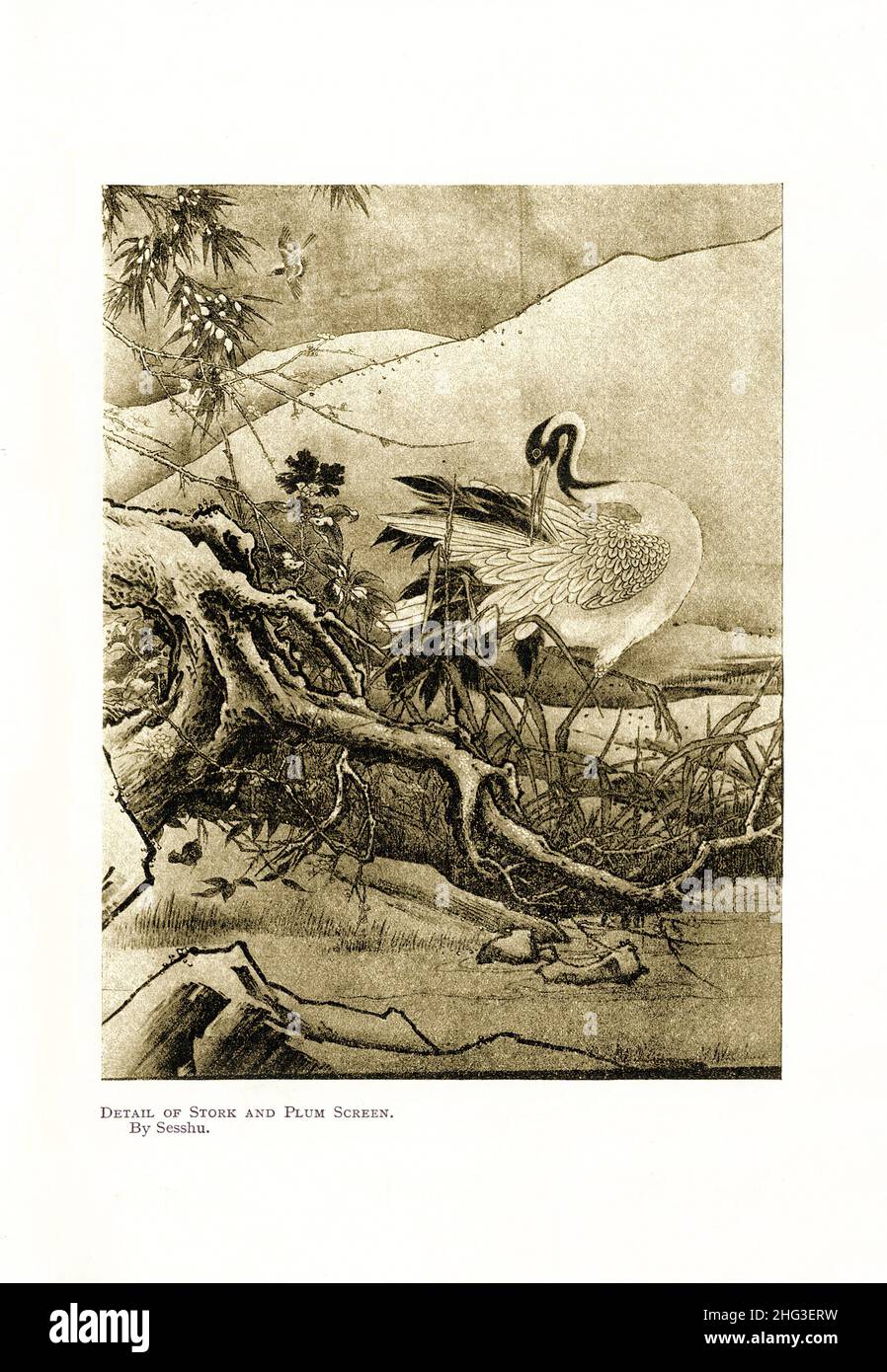 Pittura medievale giapponese: Dettaglio di Stork e schermo di prugna. Di Sesshu. Riproduzione di un'illustrazione del libro di 1912 Sesshū Tōyō (conosciuta come Oda Tōyō, Unko Foto Stock