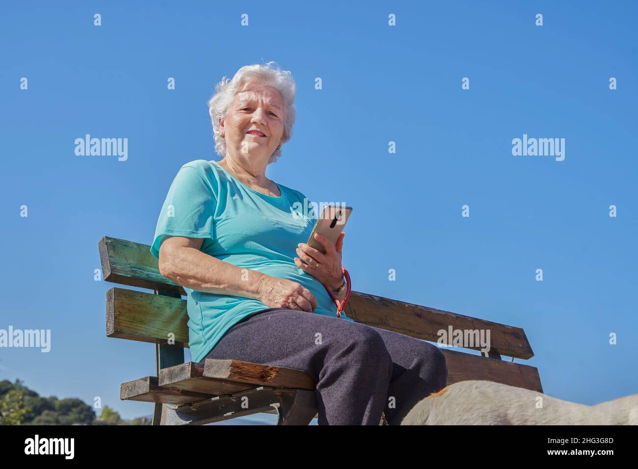 Basso angolo di vecchia donna ottimista seduta su panca vicino al cane e utilizzando il cellulare sotto cielo blu nuvoloso, in giornata di sole e guardando la macchina fotografica Foto Stock