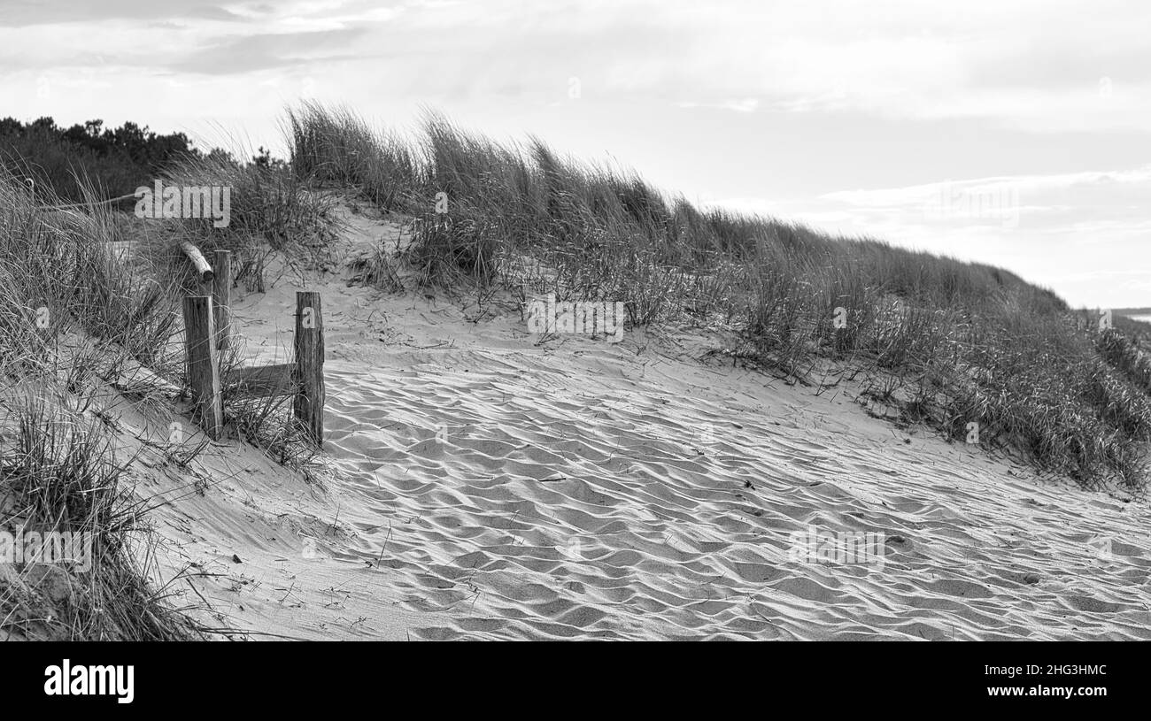 Sulla spiaggia del Mar Baltico una spiaggia che attraversa le dune in bianco e nero. Passeggiata sulla spiaggia sul Darß a Zingst Foto Stock