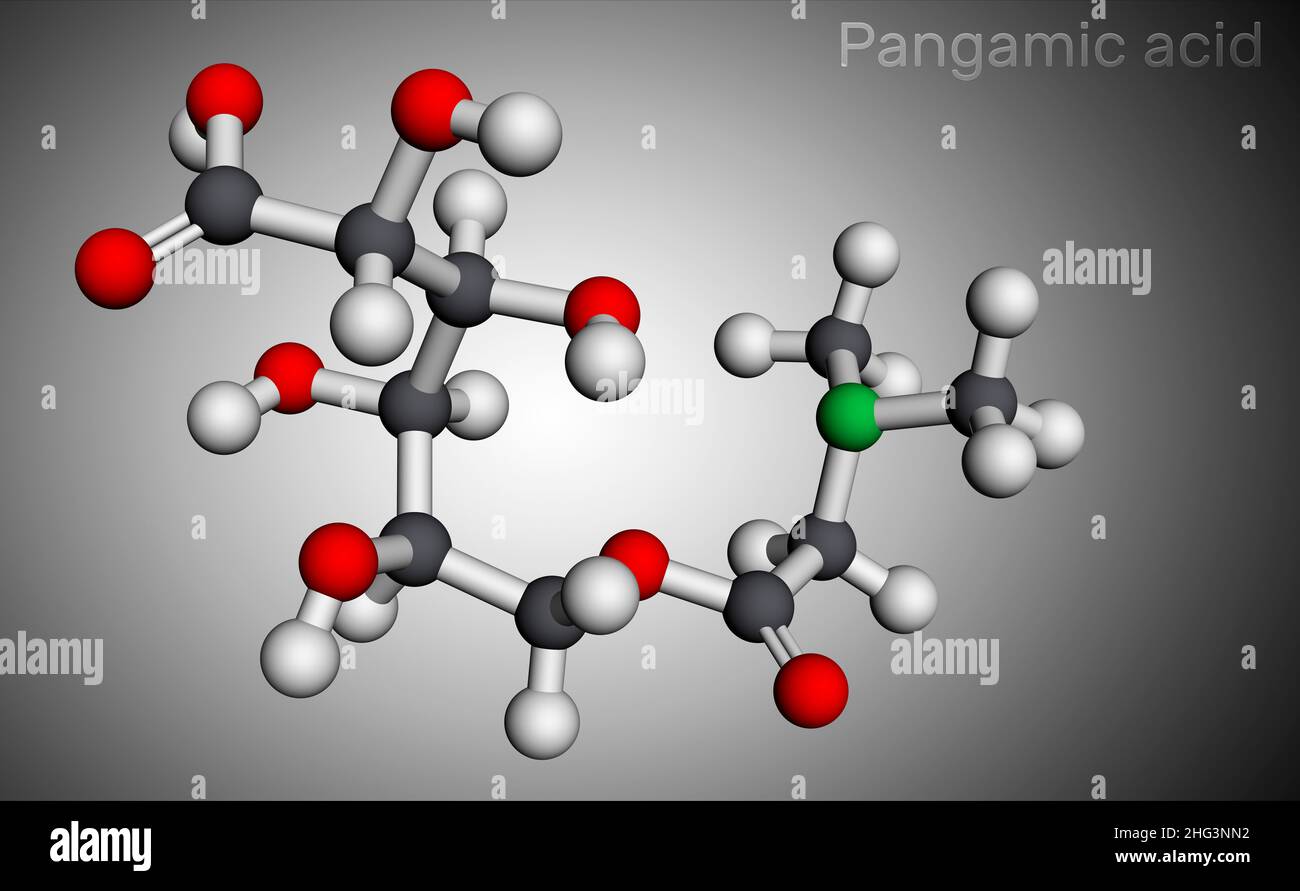 Acido pangamico, molecola di pangamato. È la vitamina B15, estere derivato dall'acido gluconico e dalla dimetilglicina. Modello molecolare. 3D rendering. Illustratio Foto Stock