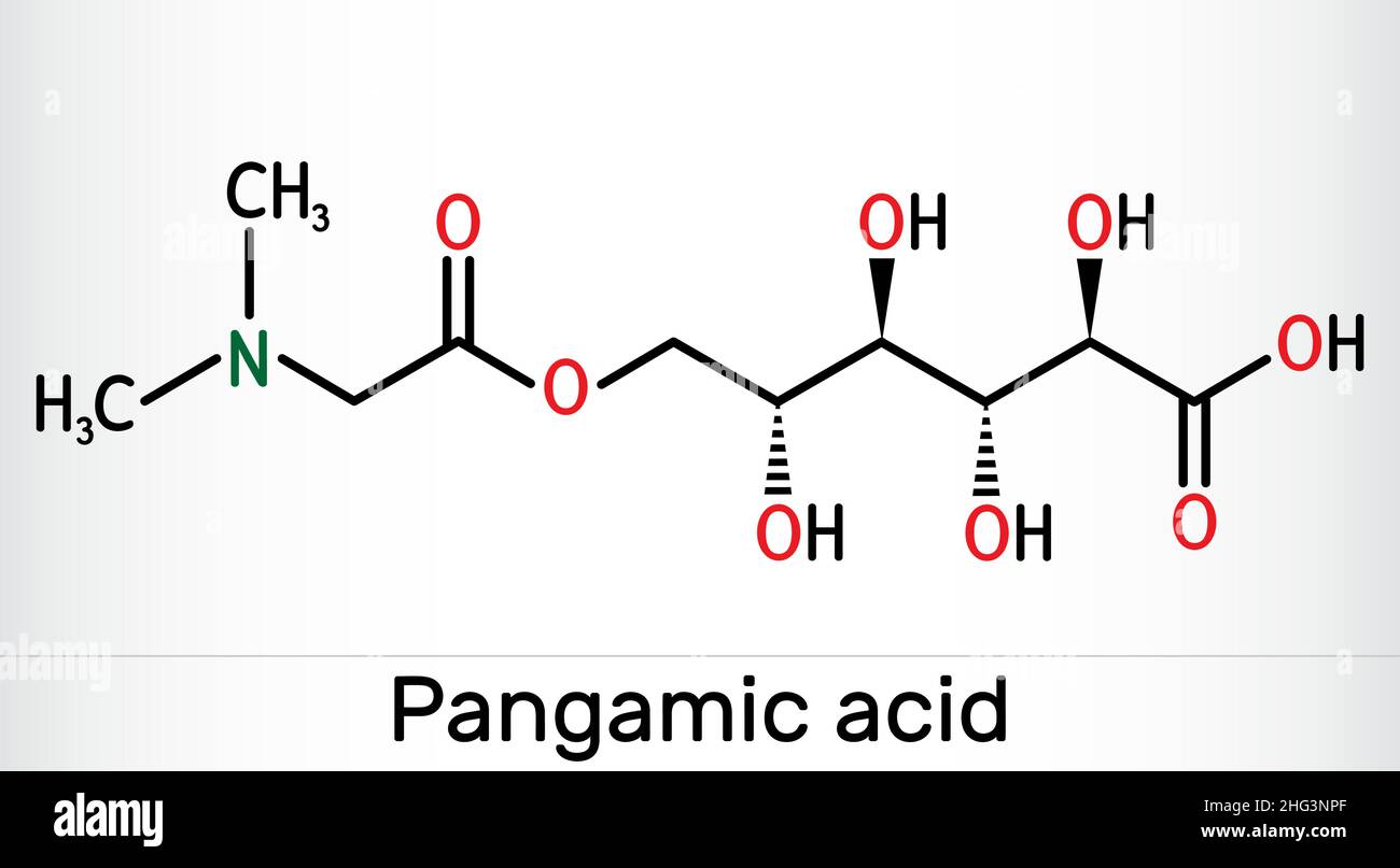 Acido pangamico, molecola di pangamato. È la vitamina B15, estere derivato dall'acido gluconico e dalla dimetilglicina. Formula chimica scheletrica. Illustrazione vettoriale Illustrazione Vettoriale