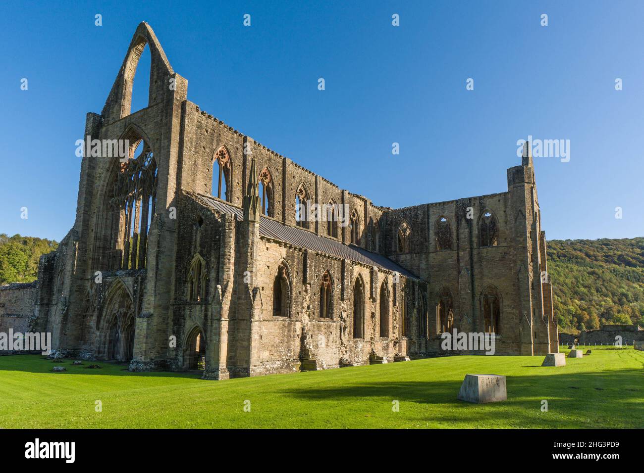 L'abbazia di Tintern è ancora in piedi quasi 500 anni dopo il regno della riforma del re Enrico Vll e la dissoluzione della chiesa. Monmouthshire Wales U. Foto Stock