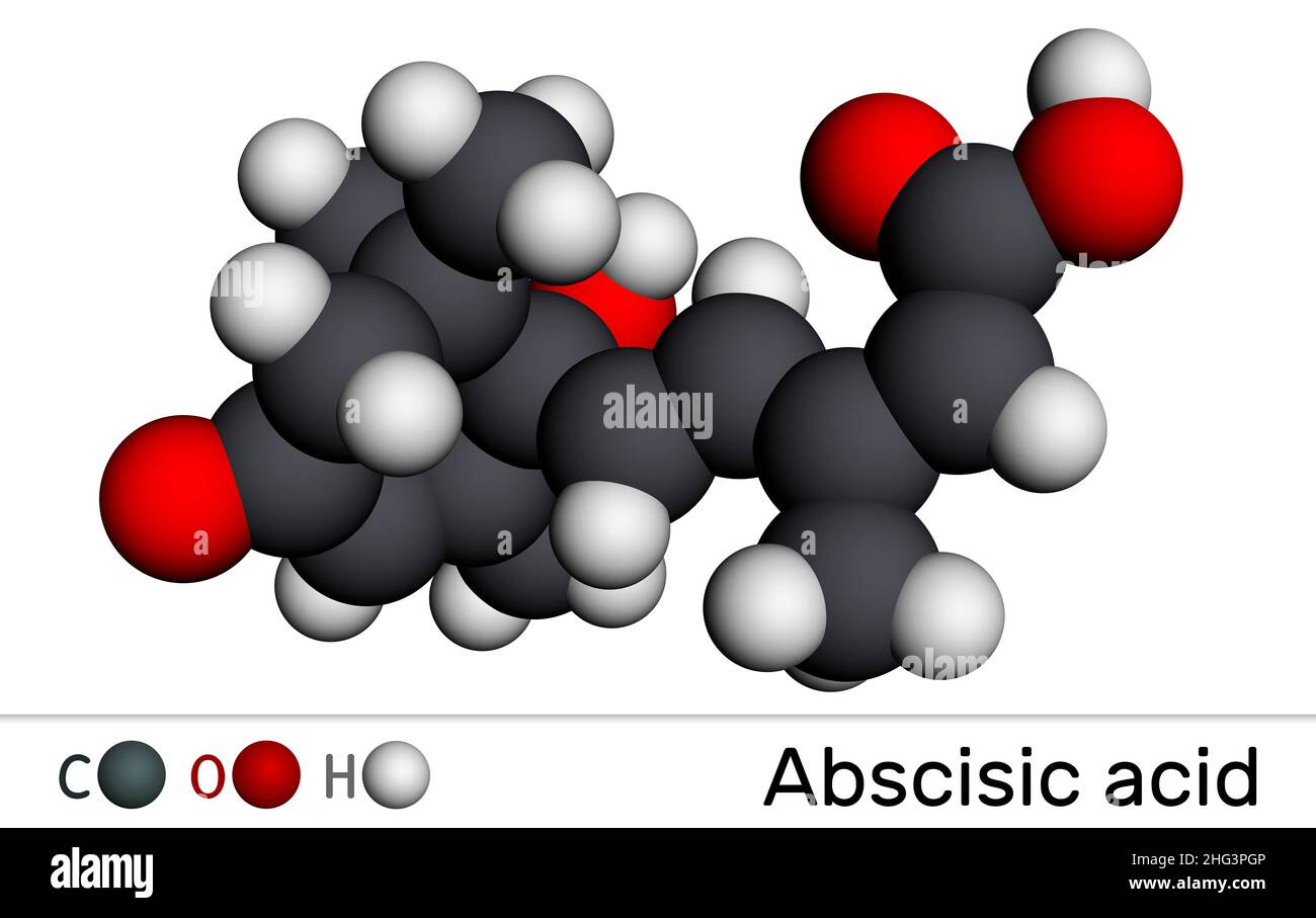 Acido ascisse, molecola ABA. È dormin, ormone vegetale. Modello molecolare. 3D rendering. Illustrazione Foto Stock