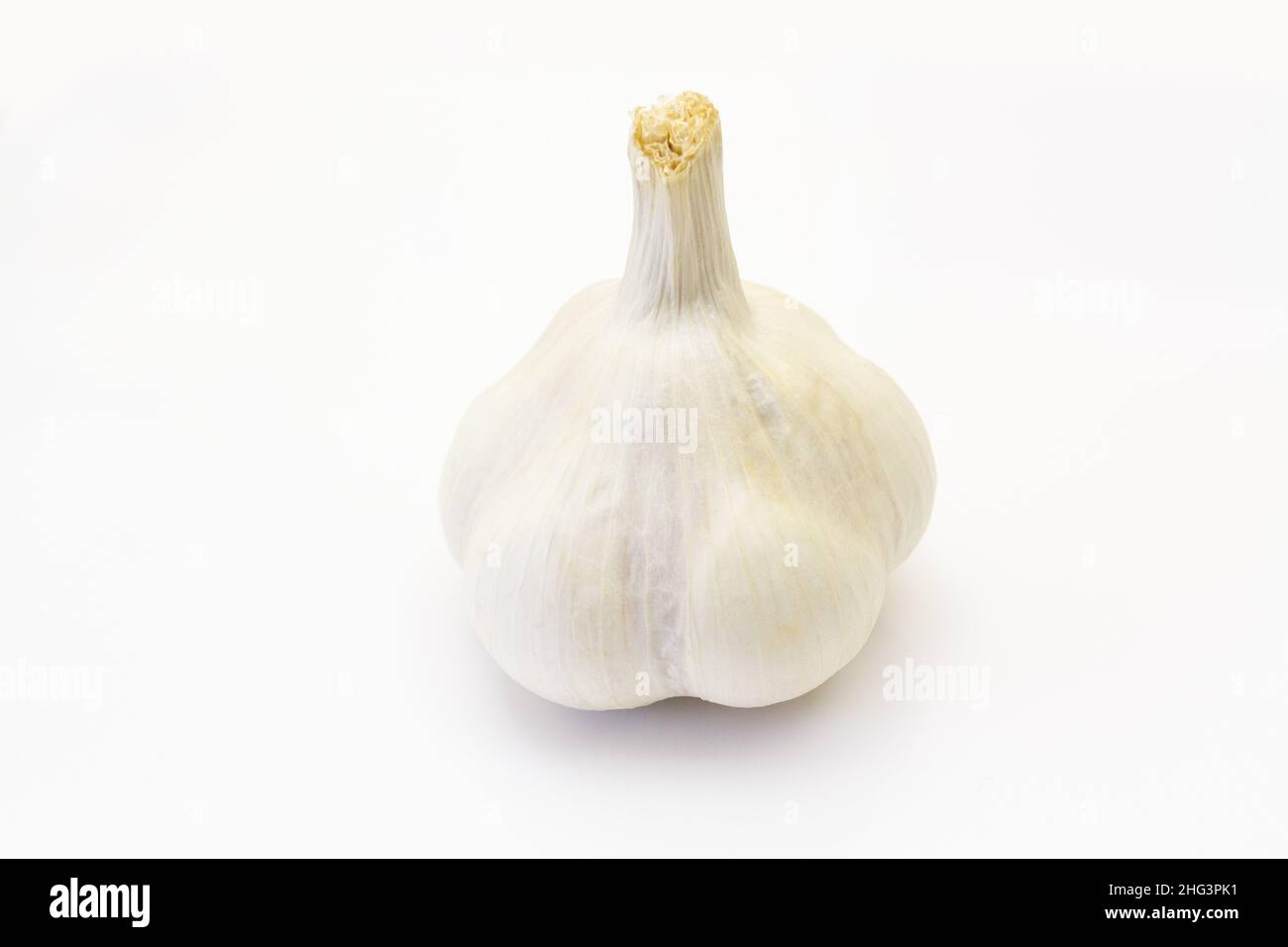 testa di aglio su sfondo bianco Foto Stock