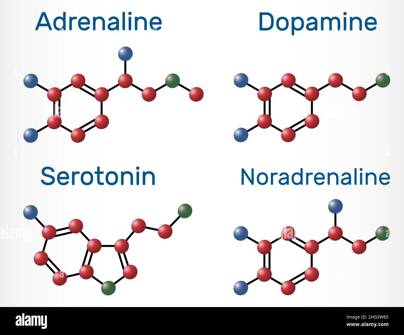 Molecole di adrenalina (epinefrina), dopamina (da), serotonina, norepinefrina (noradrenalina). Neurotrasmettitori monoamminici, neuromodulatori, medicatio Illustrazione Vettoriale