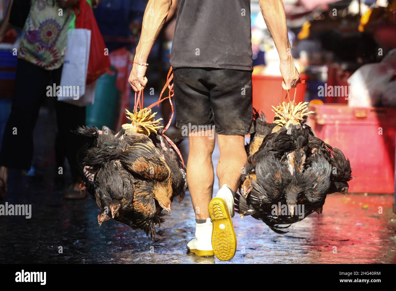 Bangkok, Tailandia. 18th Jan 2022. Il lavoratore ha visto tenere il pollo per vendere il cliente al mercato Khlong Toei a Bangkok. Il Dipartimento per lo sviluppo del bestiame sta tenendo un attento controllo sulla diffusione dell'influenza aviaria H5N6 dopo che l'Organizzazione Mondiale della Sanità ha avvertito di una possibile epidemia in seguito a recenti casi di infezione in Cina. Credit: SOPA Images Limited/Alamy Live News Foto Stock