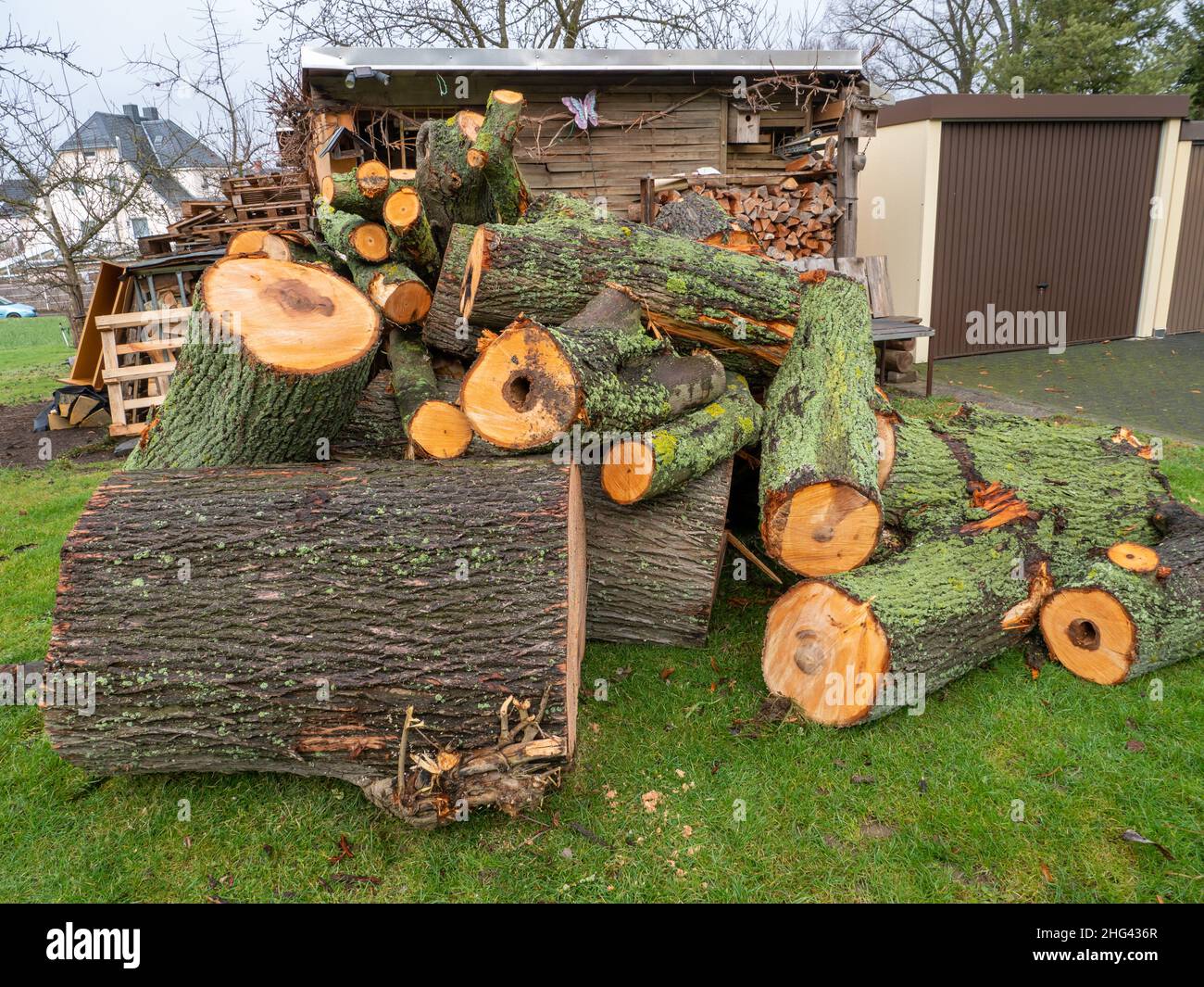 Legna da ardere per l'inverno in giardino Foto Stock