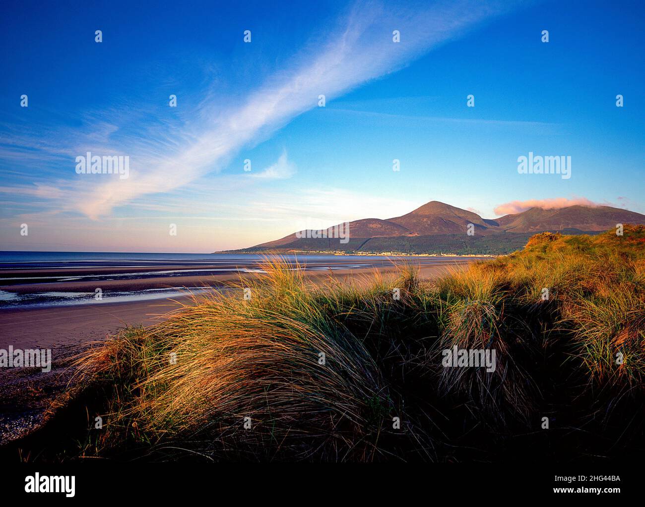 Le montagne di Mourne da Murlough Nature Reserve Newcastle, County Down, Irlanda del Nord Foto Stock