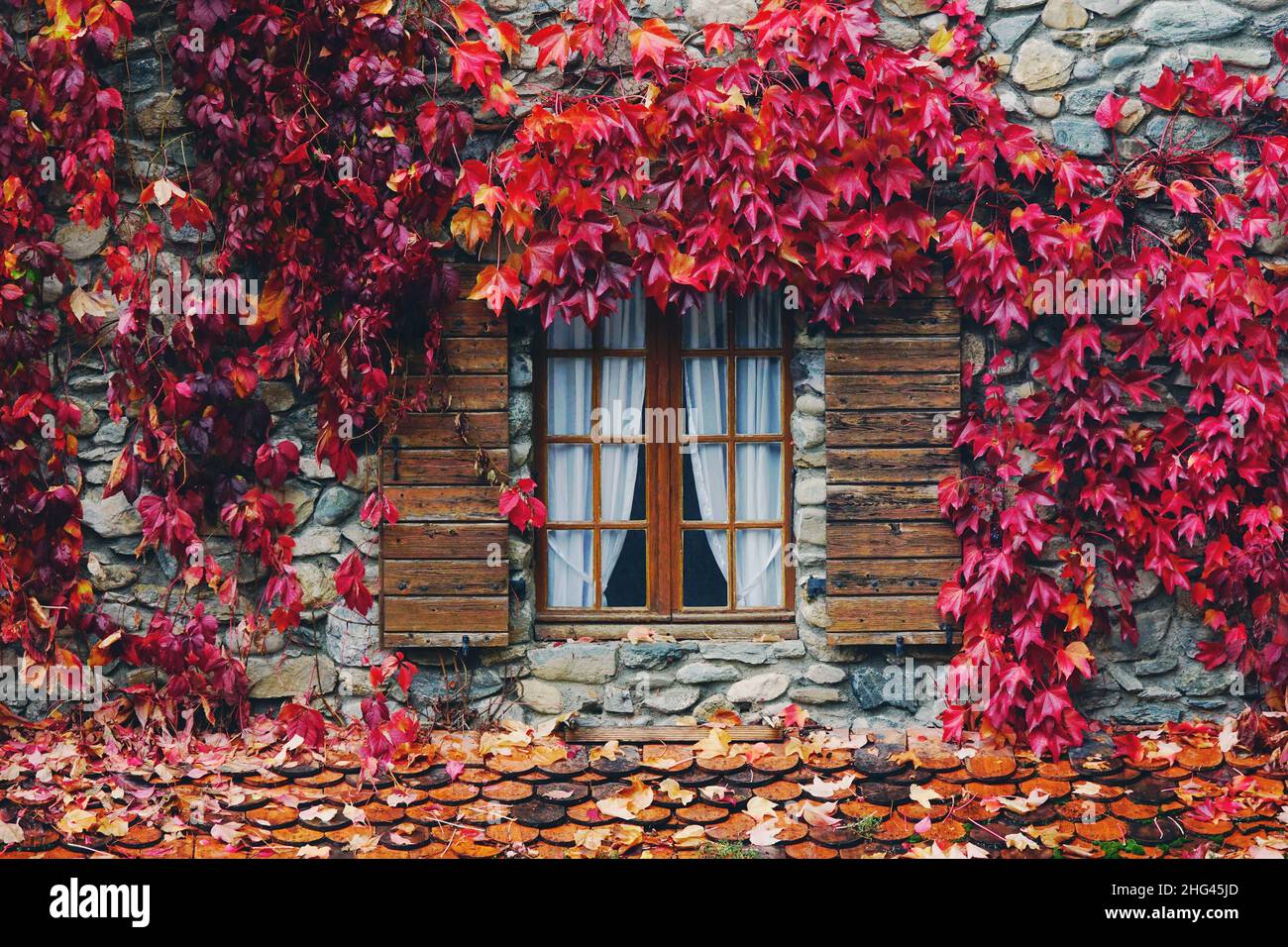 Finestra con persiane in legno di una casa di campagna francese con pareti in pietra e foglie di edera rossa che copre la facciata in autunno Foto Stock