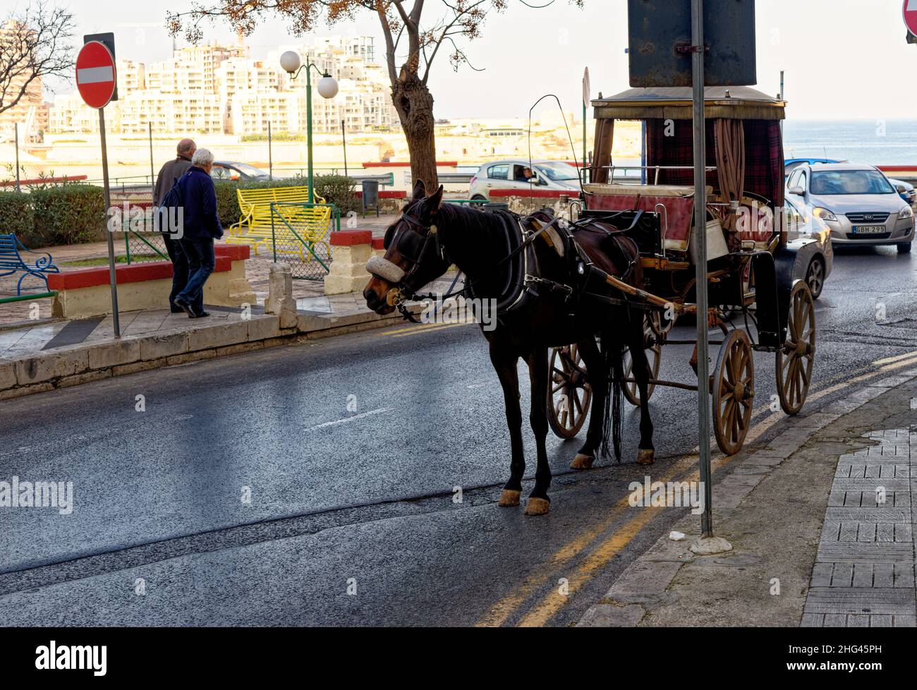 Cavallo e carrozza in attesa all'ombra per il trasporto di turisti intorno a Vallett, la capitale di Malta - 2nd febbraio, 2016 Foto Stock